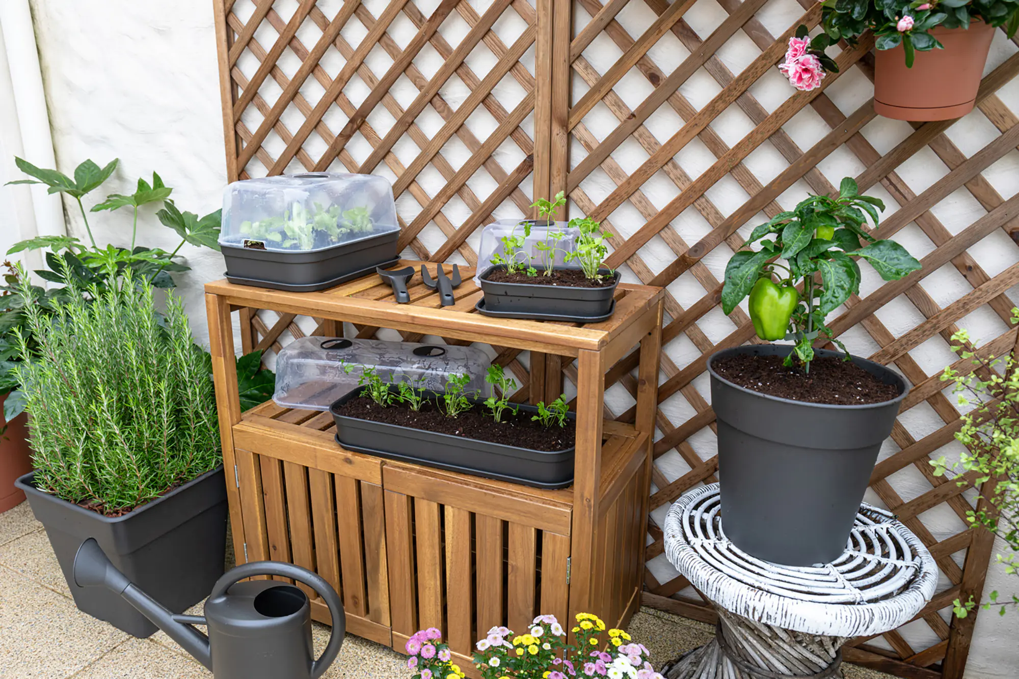 Artevasi Anzuchttopf Madagascar Kunststoff terrakotta Ø 40 x 39 cm 