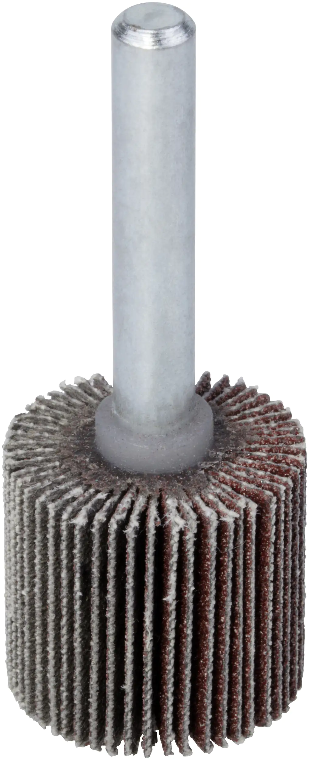 Wolfcraft Fächerschleifer K120 Ø 20 x 20 mm Schaft 6 mm