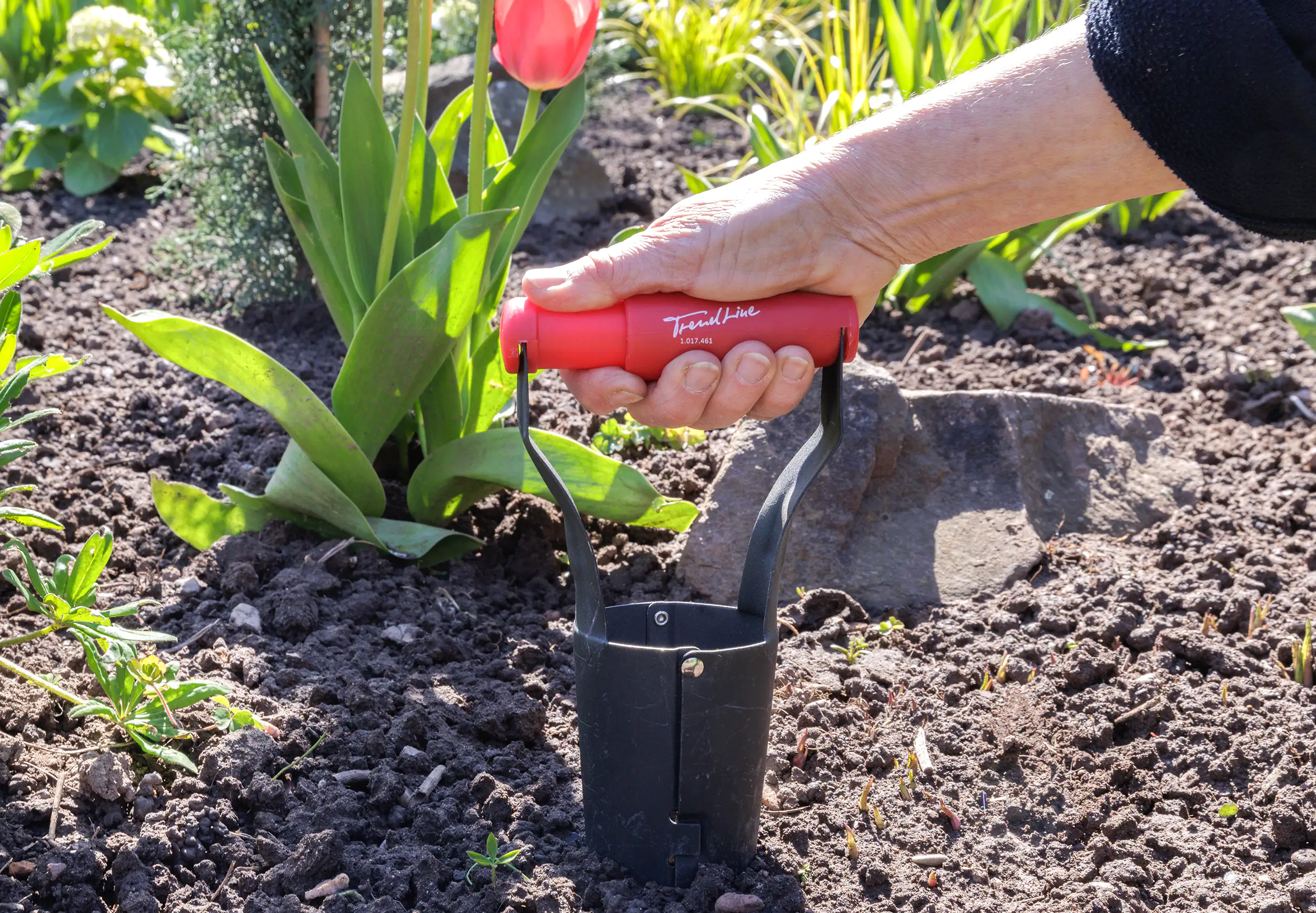 TrendLine Blumenzwiebel-Pflanzer