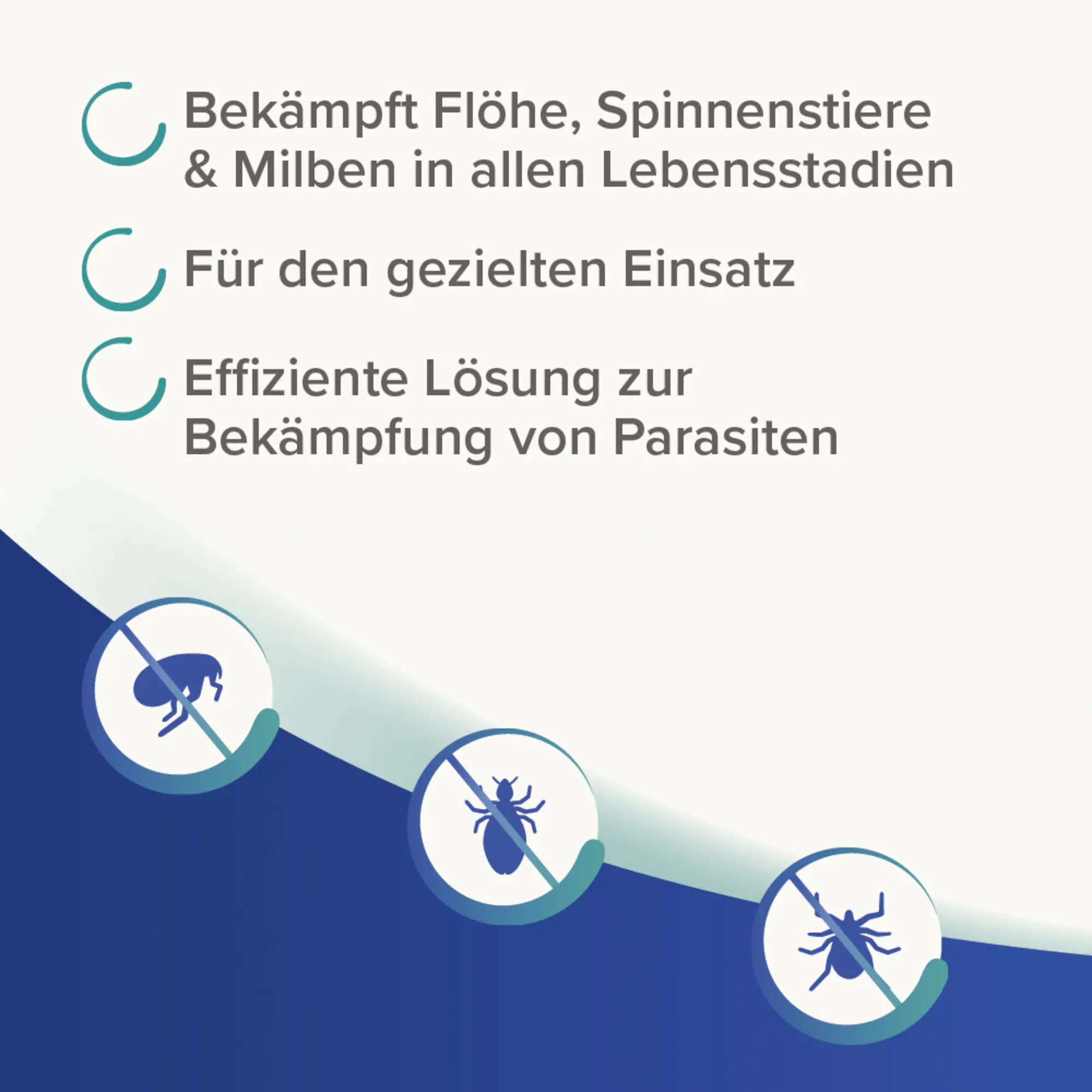 Beaphar Dimethicare Anti-Floh-Fogger 200 ml Beaphar Dimethicare Anti-Floh-Fogger 200 ml