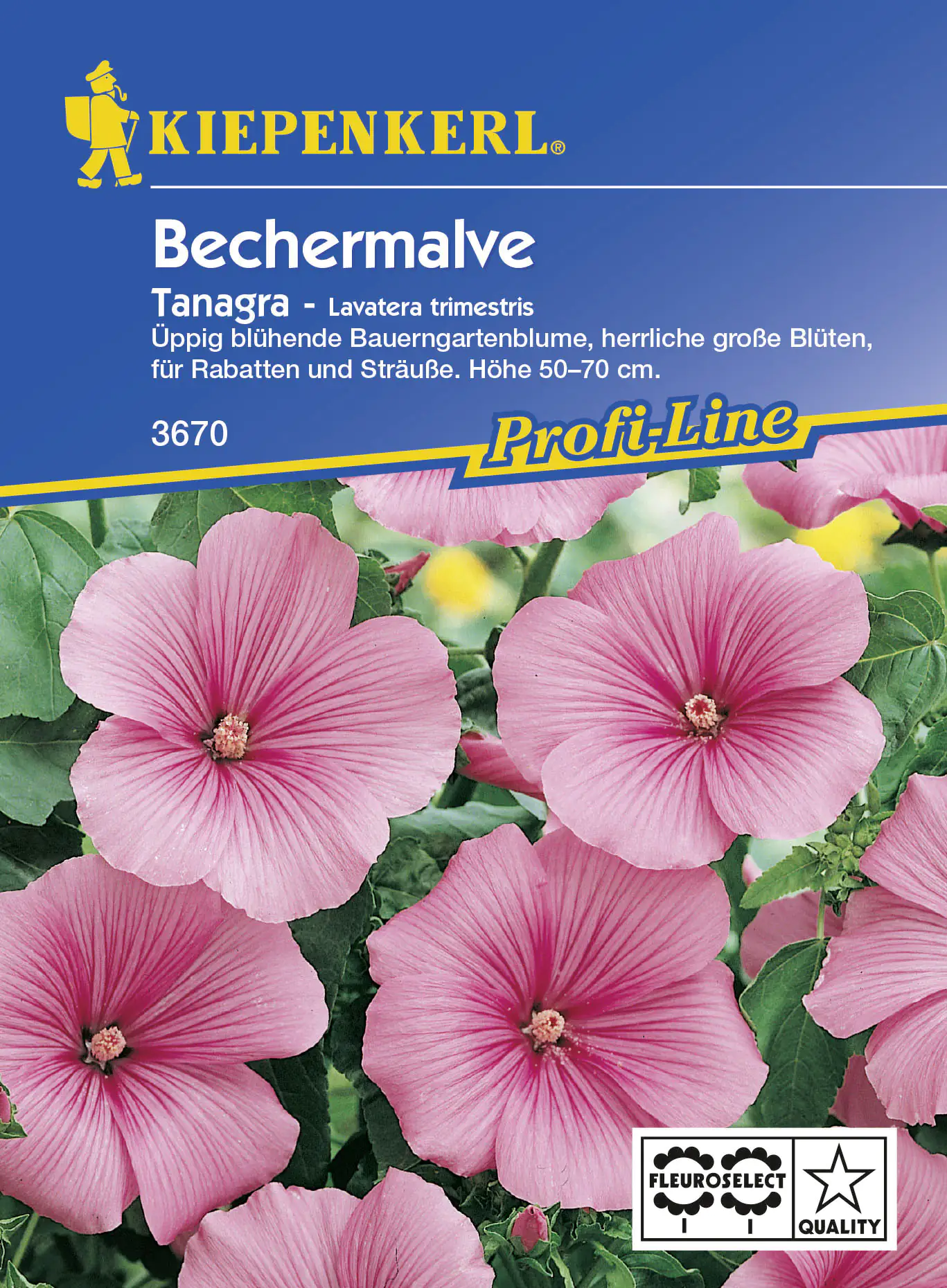 Kiepenkerl Bechermalve Tanagra Rosa Lavatera trimestris, Inhalt: ca. 40 Pflanzen Kiepenkerl Bechermalve Tanagra Rosa Lavatera trimestris, Inhalt: ca. 40 Pflanzen
