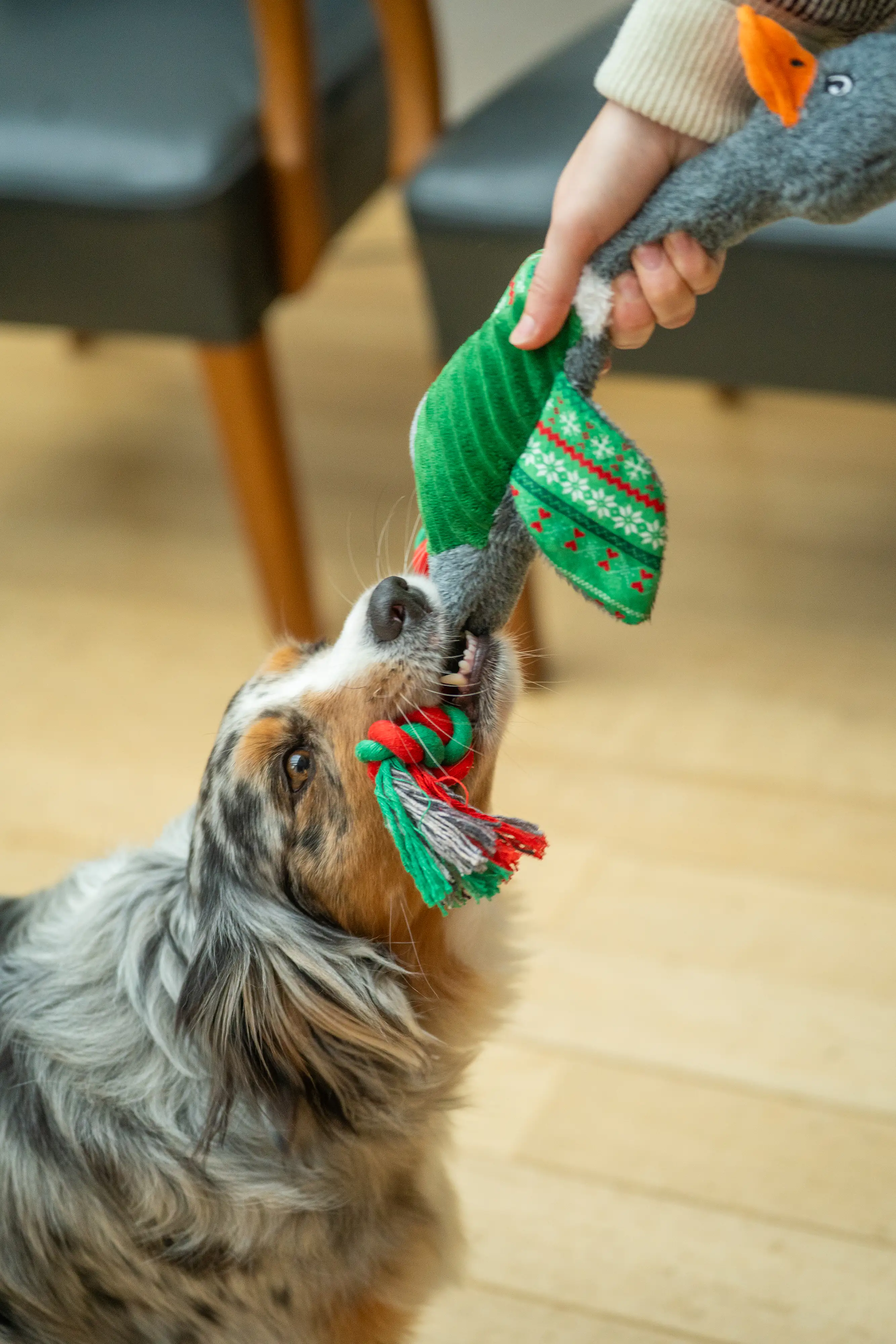 Nobby Hundespielzeug Xmas Gans 42 cm