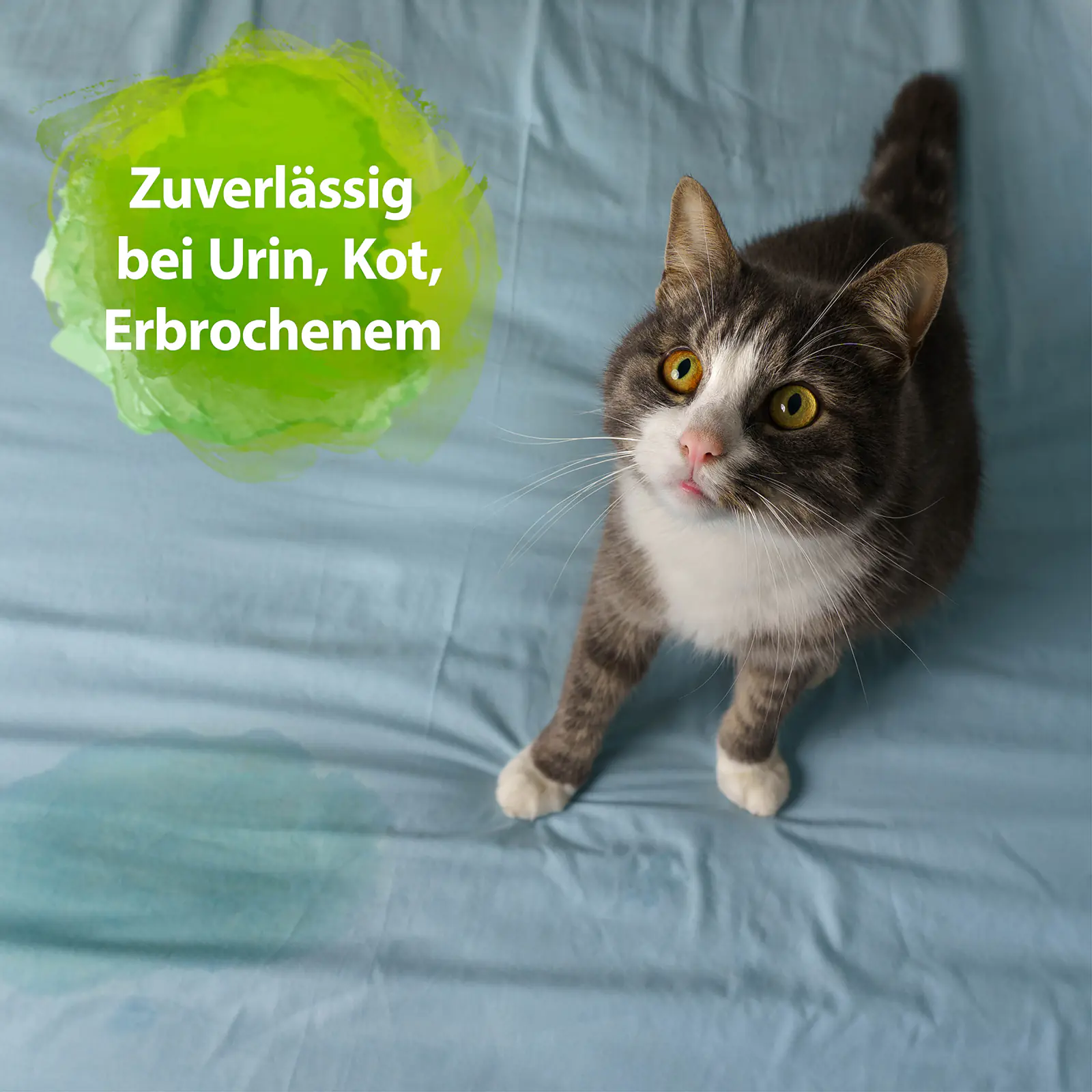 Bactador Wäschespülung und Geruchsentferner für alle Textilien 1 L