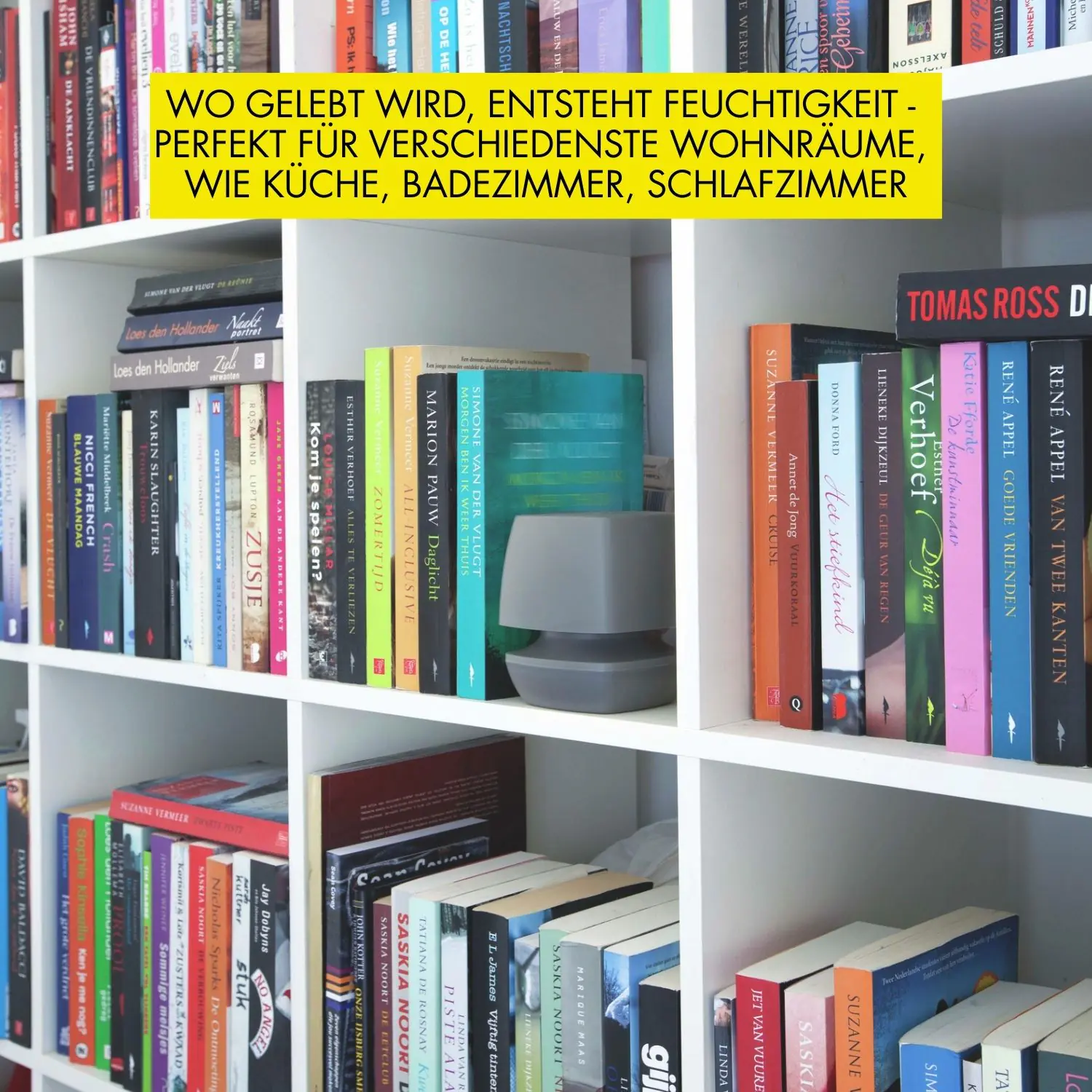 UHU Luftentfeuchter Ambiance anthrazit, 100 g