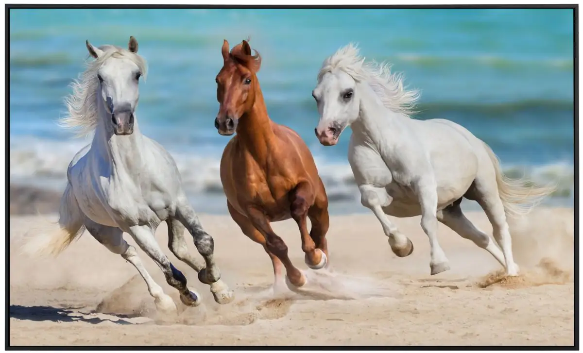 papermoon Infrarotheizkörper EcoHeat 60x120 cm 1000 Watt, Pferde im Galopp