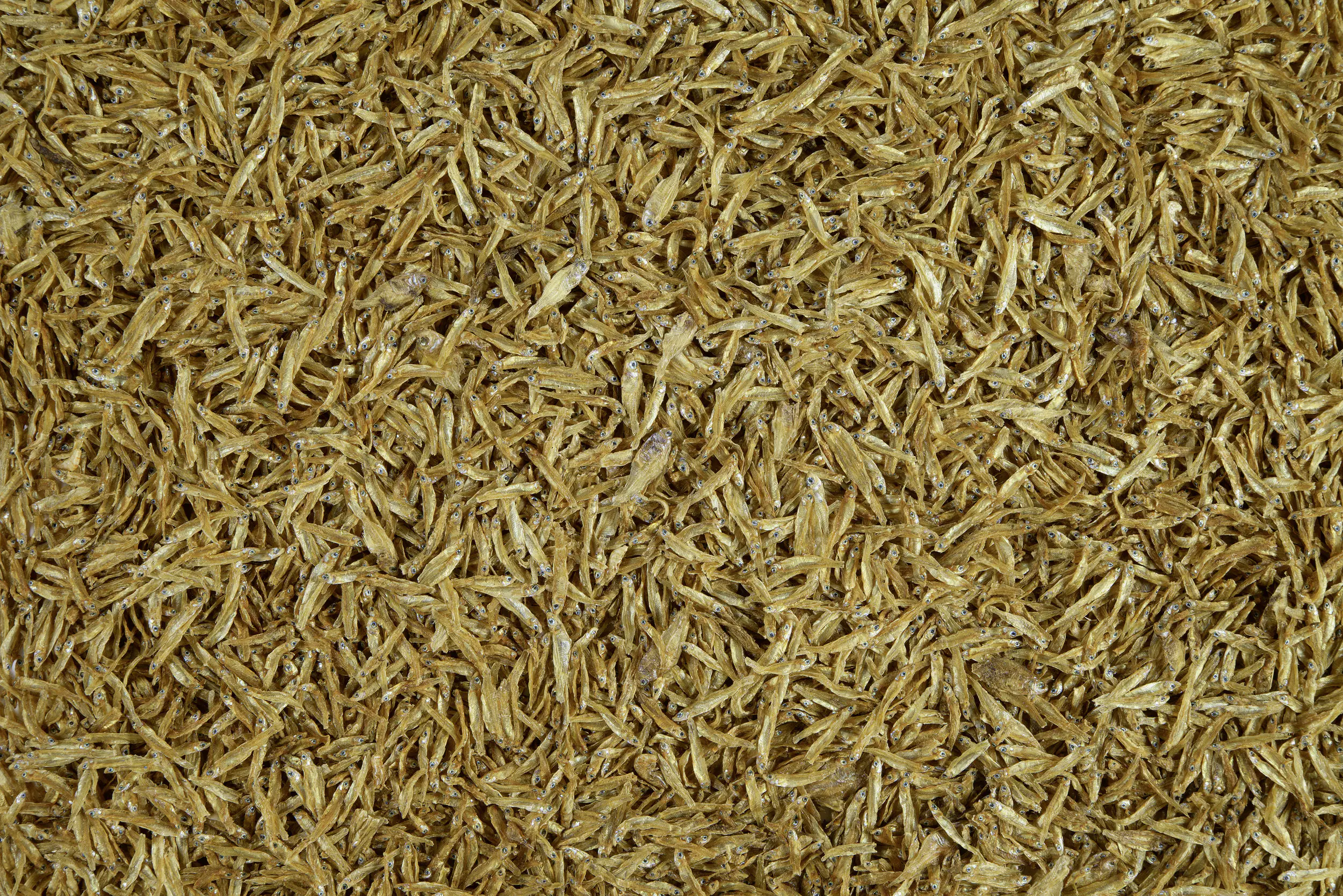 Tetra Anchovies 1L 1 L