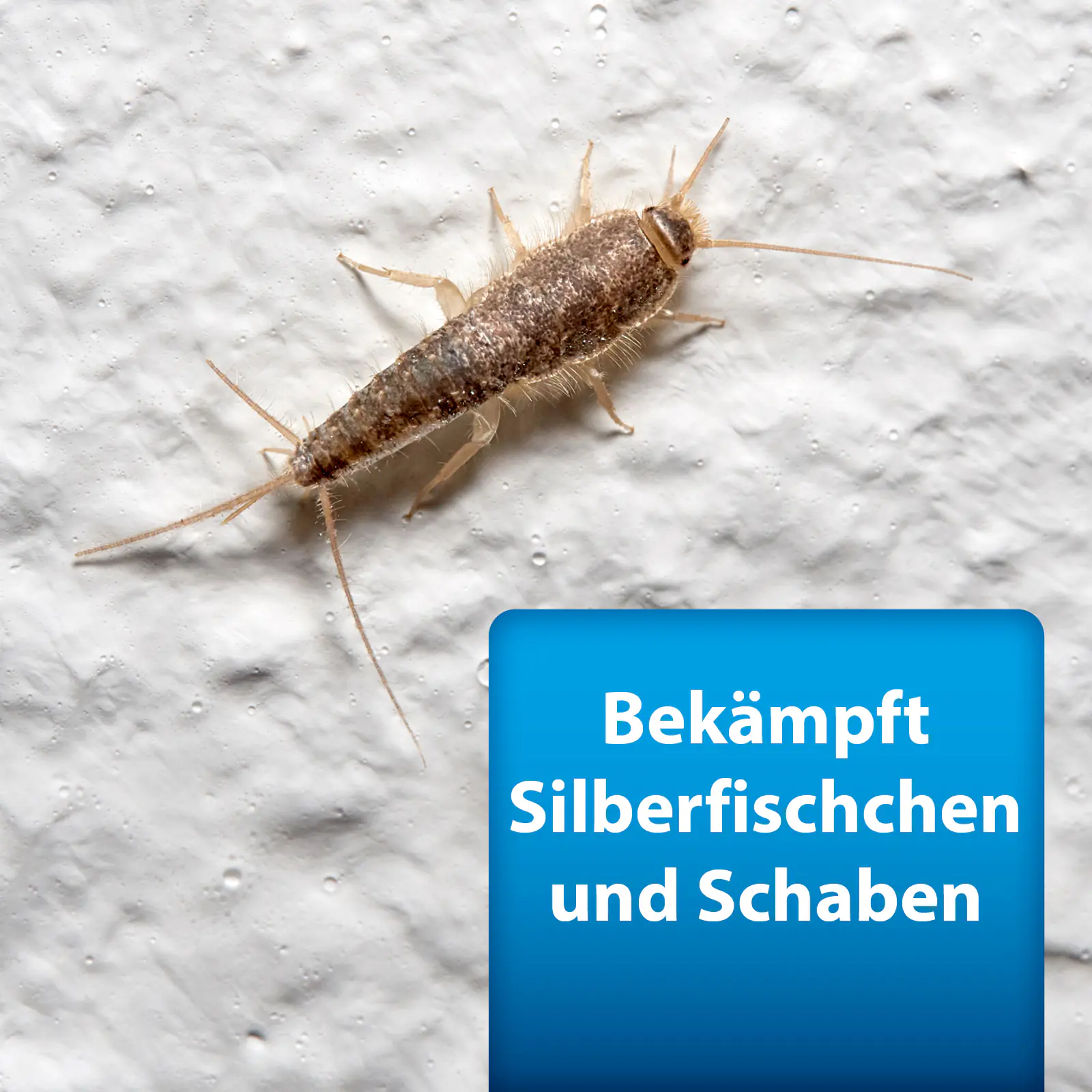 Ardap Pro Silberfischchenköderdose 4 Stück