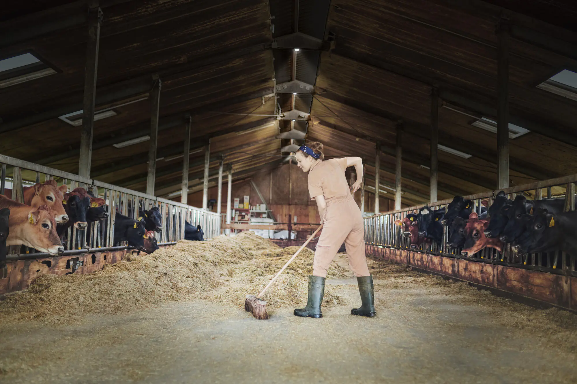 Osram LED Hallenleuchte Highbay Ufo 80W 865 IP65 schwarz Osram LED Hallenleuchte Highbay Ufo 80W 865 IP65 schwarz