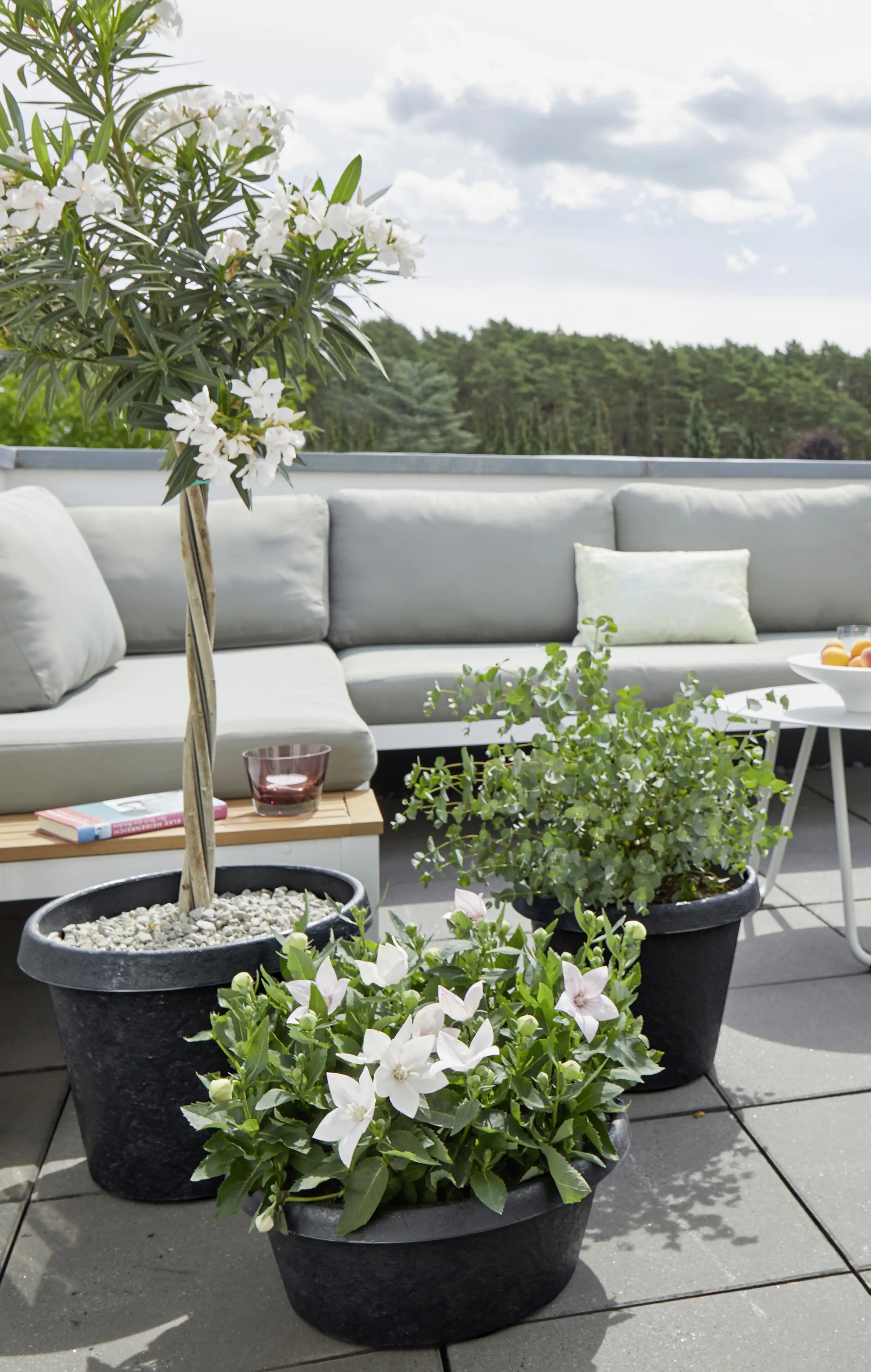 Scheurich Pflanzgefäß Stones Serie 285 anthrazit Ø 47 cm