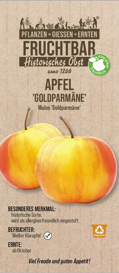 Stadt Ernte Bio Obstbaum Apfel Goldparmäne H 150 cm 29 cm Topf