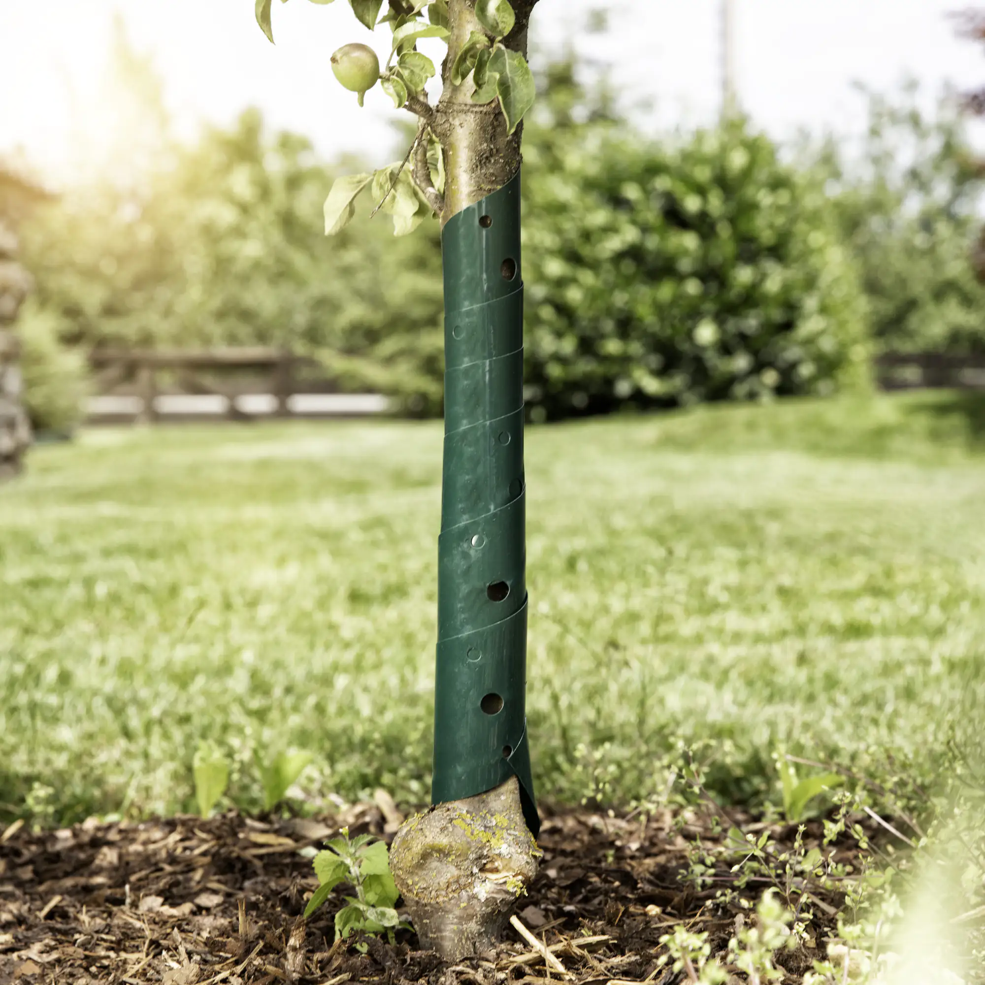 Windhager Baumschutzspirale 60 cm, grün