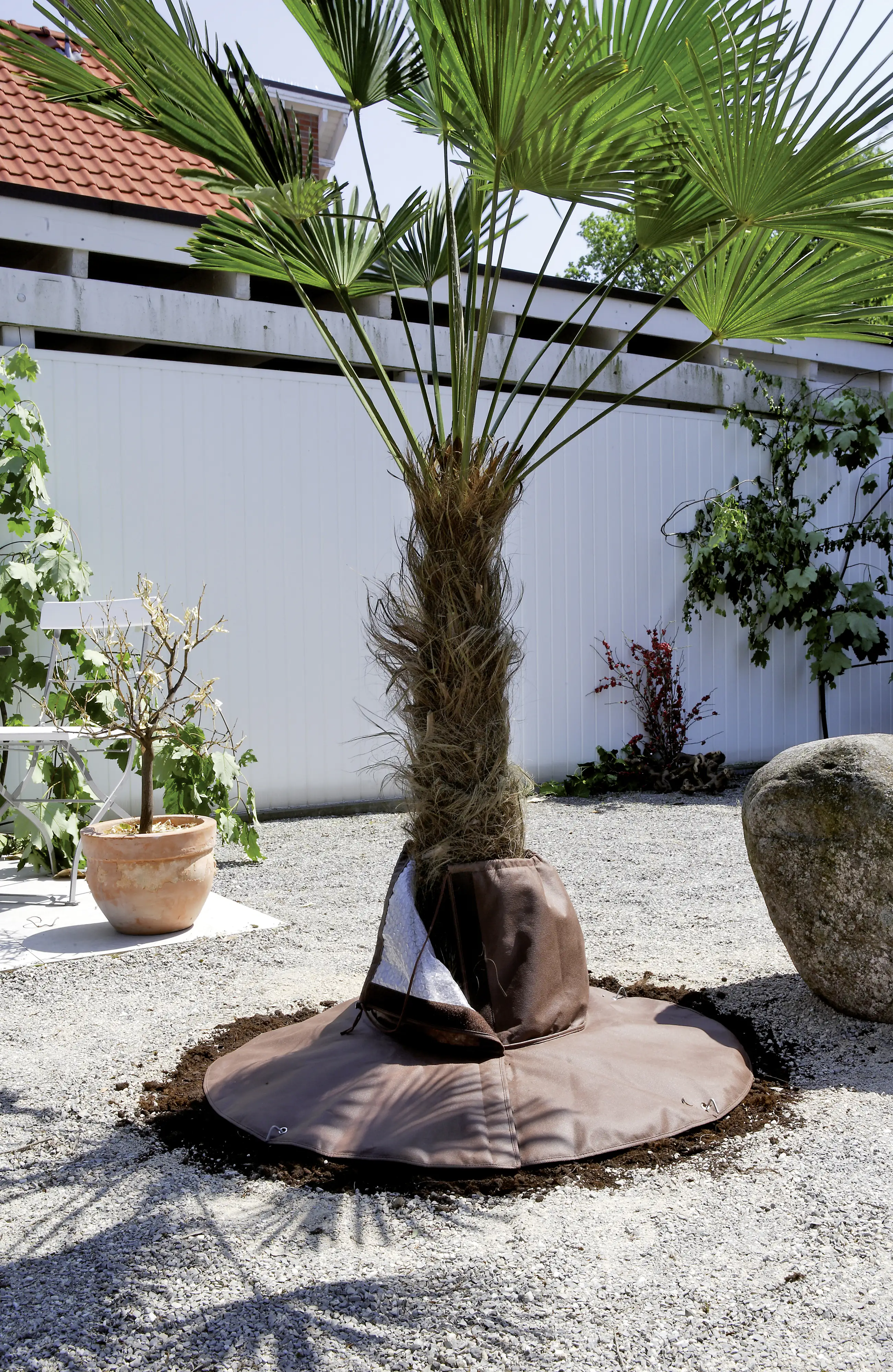 Bio Green Palmen Wurzelschutz  Höhe 30 cm, Ø Stamm 30cm, Ø Gesamt 100 cm