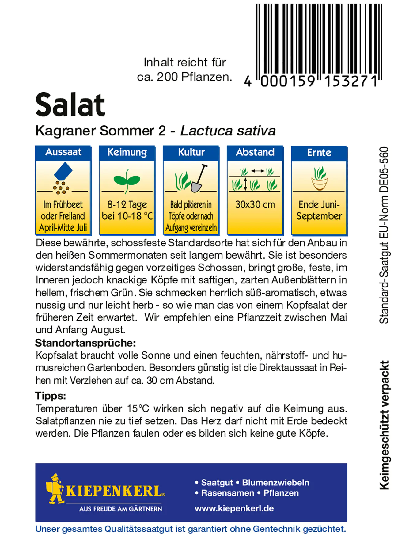 Kiepenkerl Kopfsalat Kagraner Sommer 2