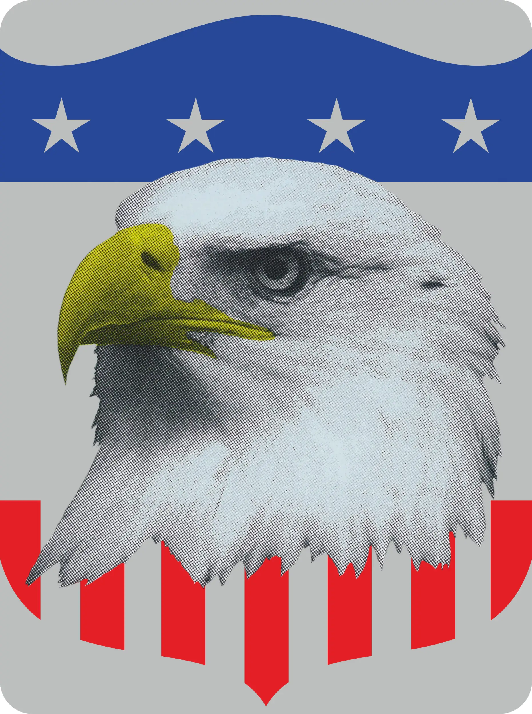 Hermann Schütz Aufkleber US-Flagge/Adler Holografie 150x110mm