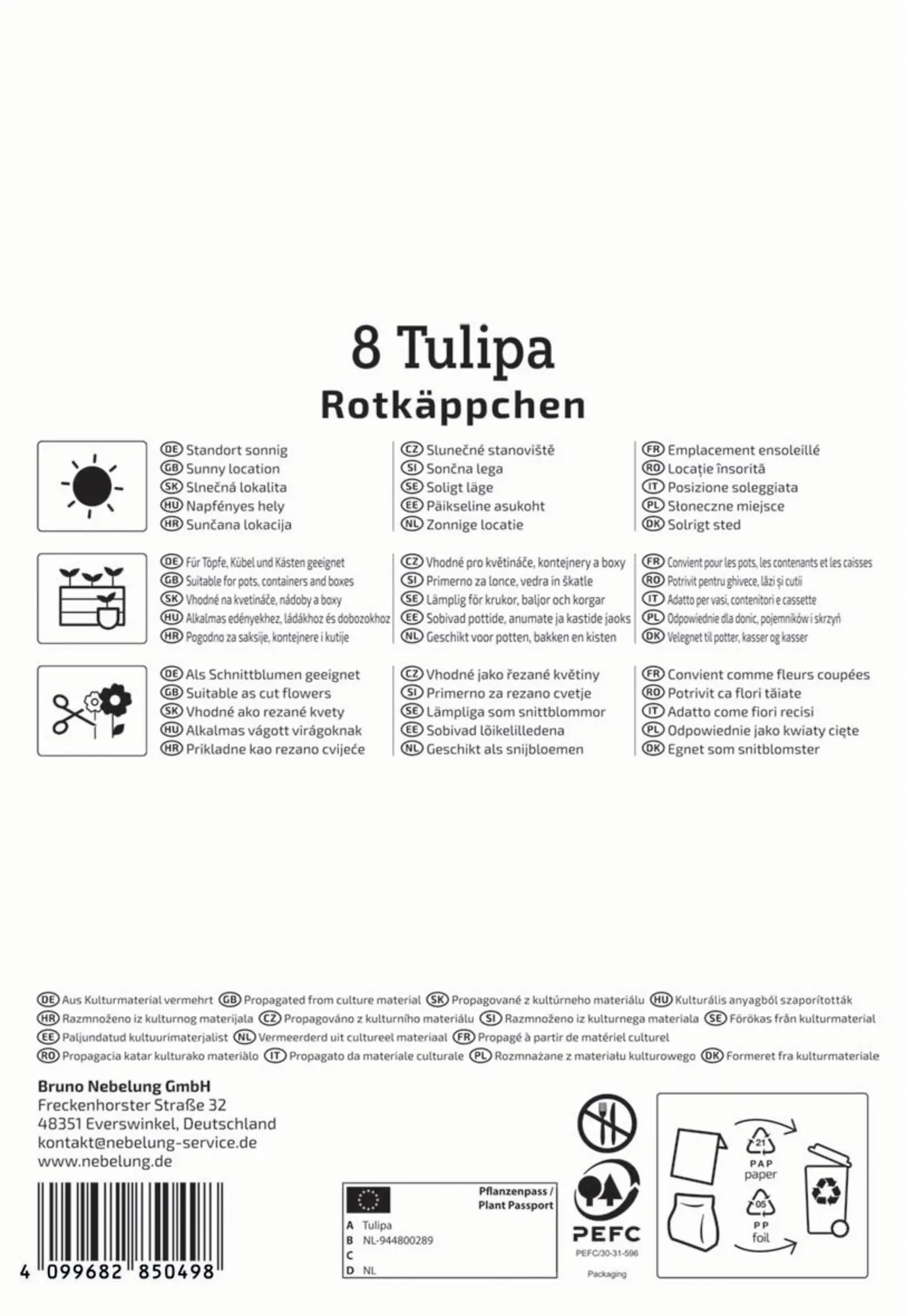 Kiepenkerl Herbstblumenzwiebel Greigii-Tulpe Rotkäppchen 8 Stück