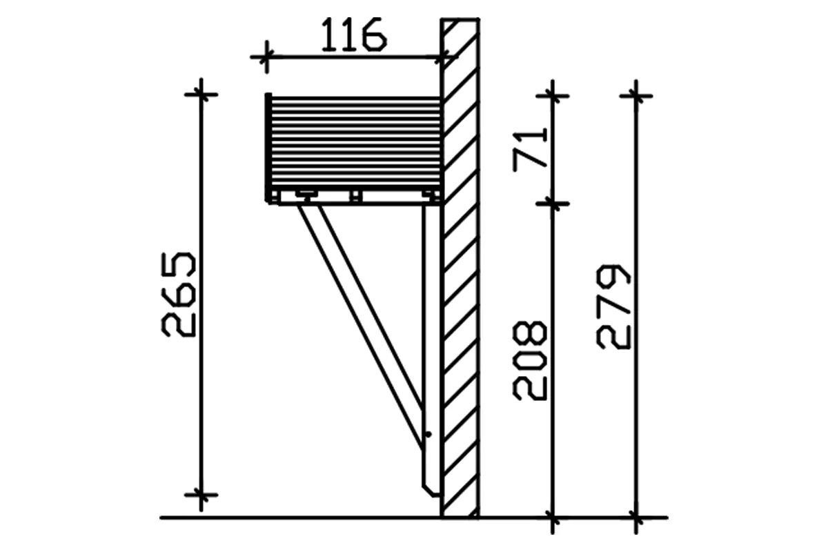SKAN HOLZ Vordach Stralsund Typ 2 289 x 116 cm, natur