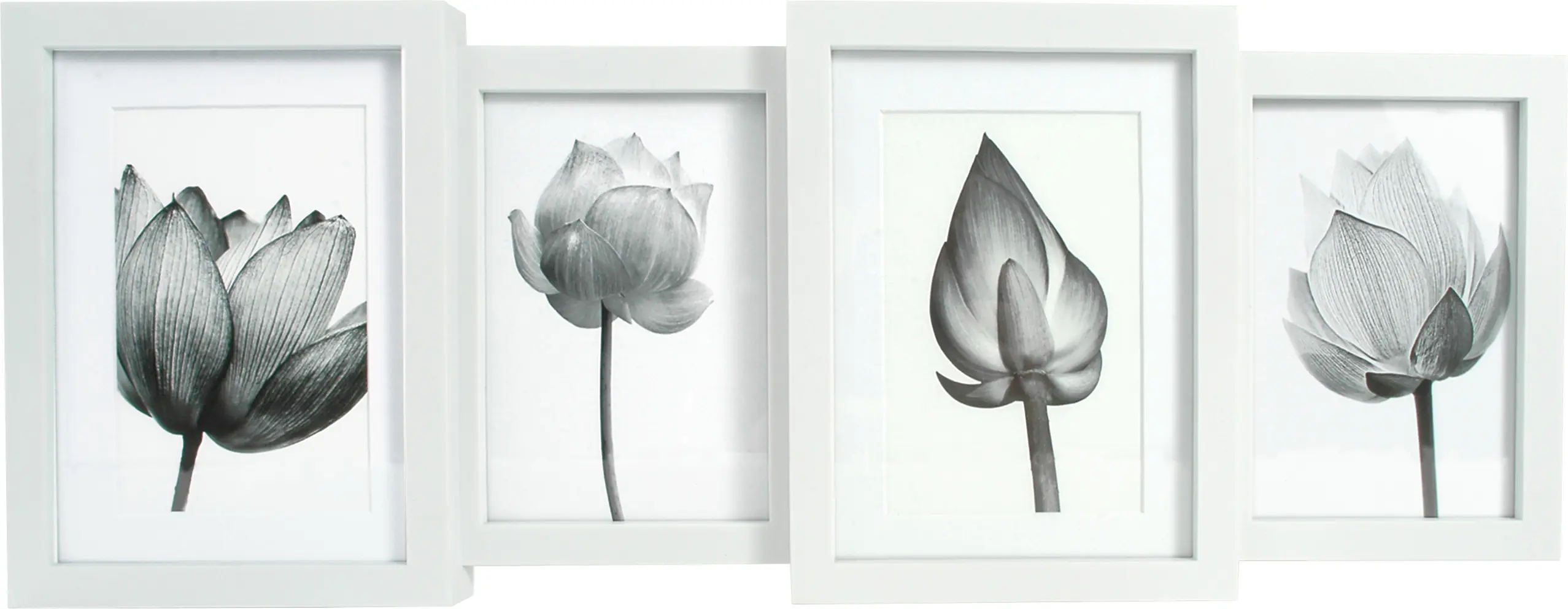 Bilderrahmen Collage Multi Classic Case weiß 55 x 20,8 cm - 4 Fotos