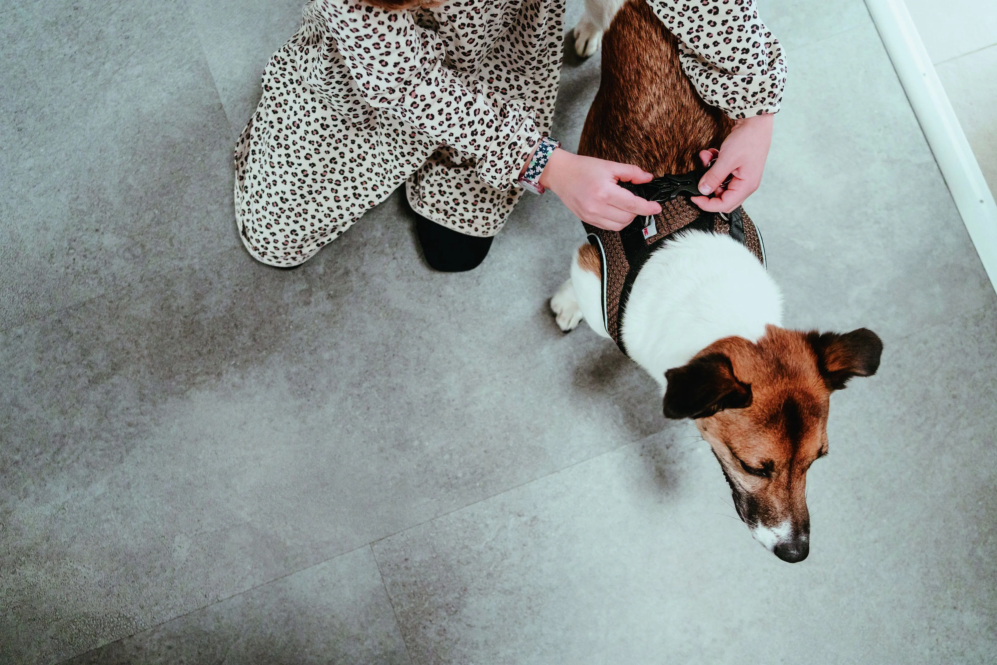 Hunter Hundegeschirr Hilo Comfort M braun