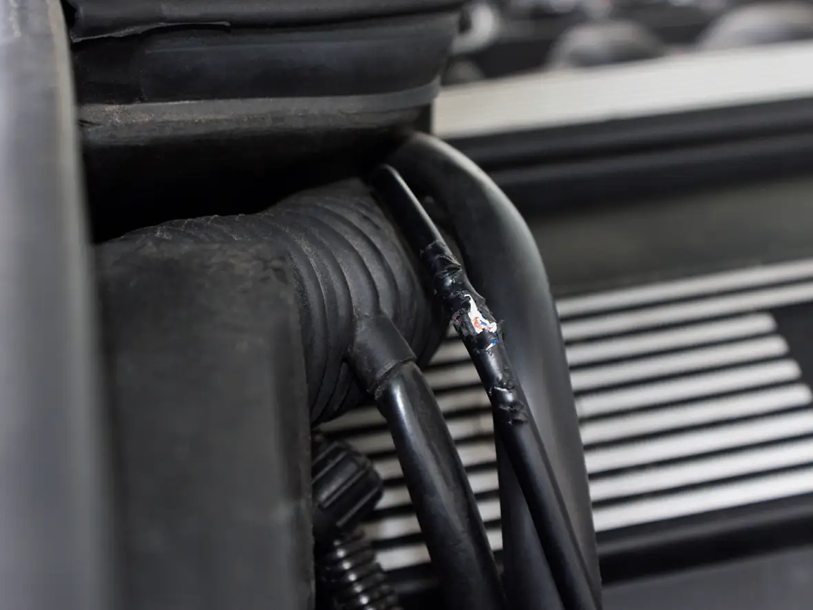 LAS Marderabwehrspray 300 ml