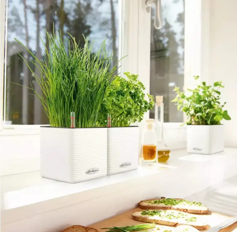 Lechuza Pflanzgefäß Cube Color 16 weiß