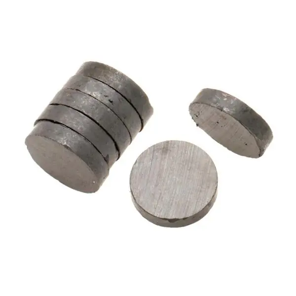 Glorex Haftmagnete 10 Stück
