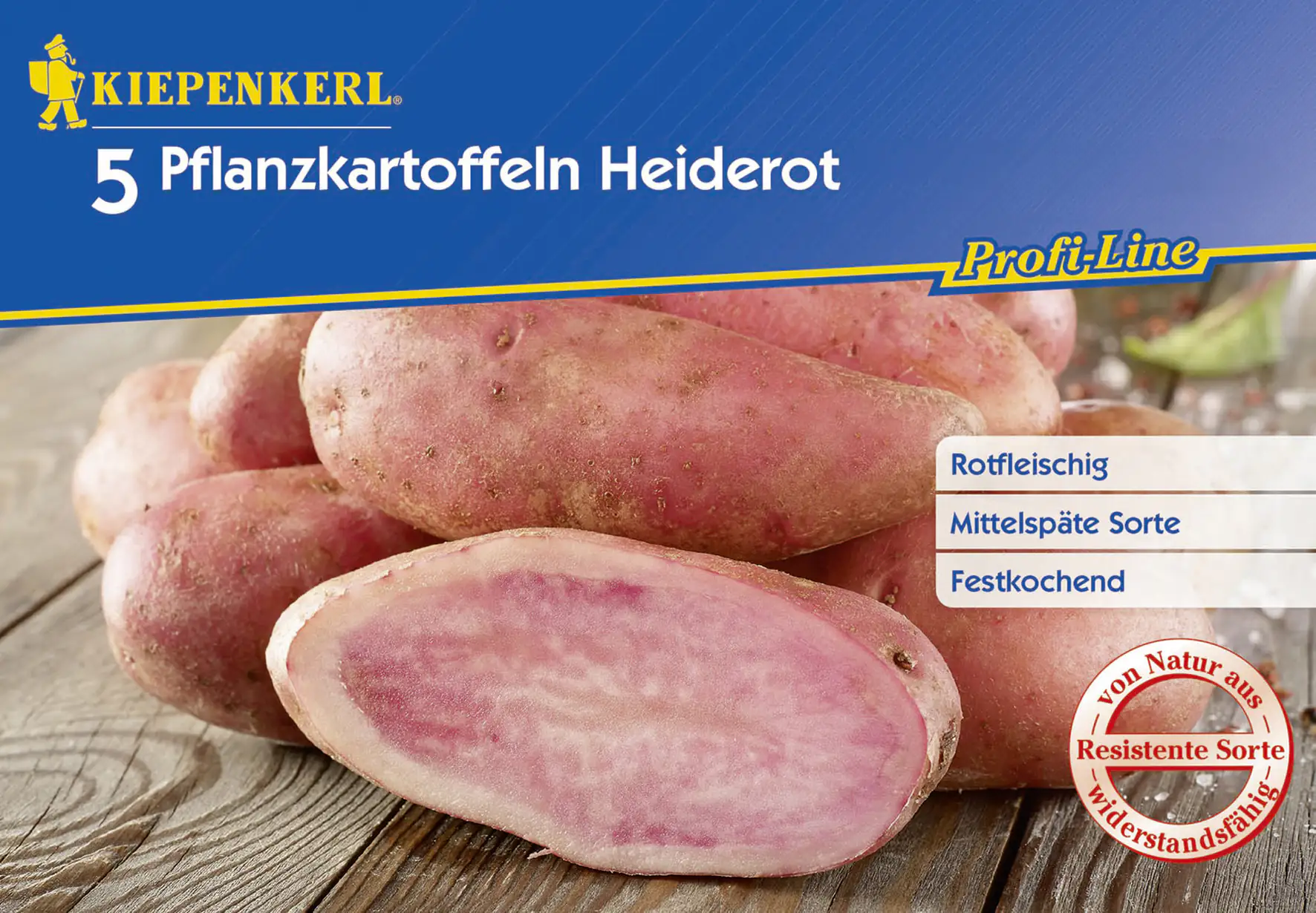 4000159612365 Kiepenkerl Pflanzkartoffel Heiderot 5 Stück