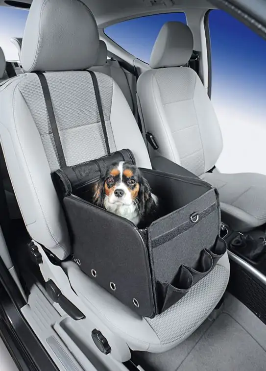 Nobby Autositztasche Merlo grau