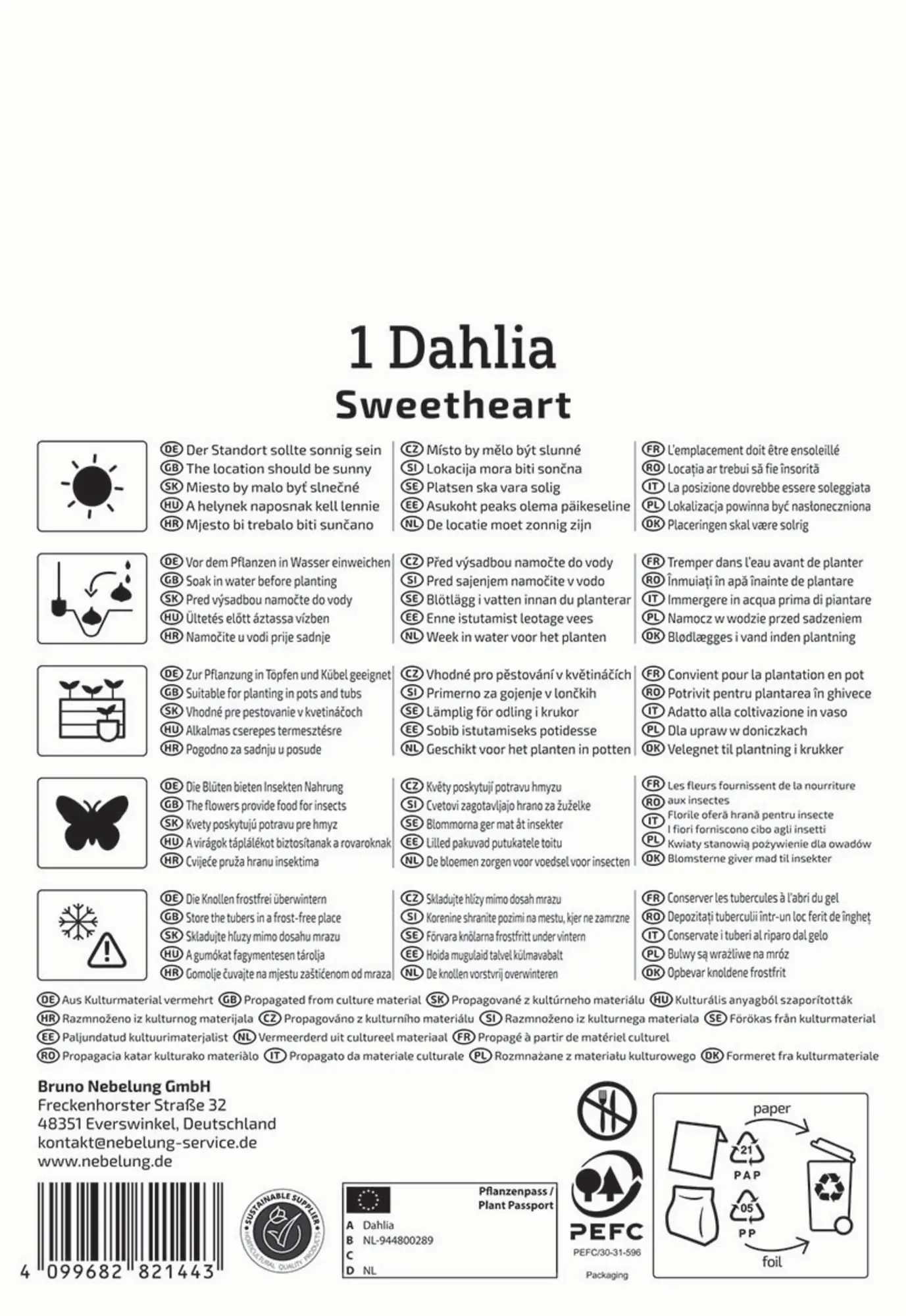 Kiepenkerl Frühjahrsblumenzwiebel Beet- & Topf-Dahlie Topmix Rosa mit Auge 1 Stück