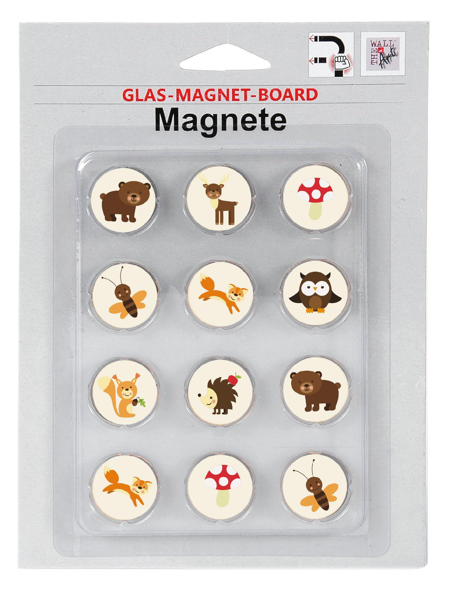Magnetwand Magnettafel Memoboard Inkl. 4 Magnete - RAL 3020 Verkehrsrot Rot 40 X 60 Cm