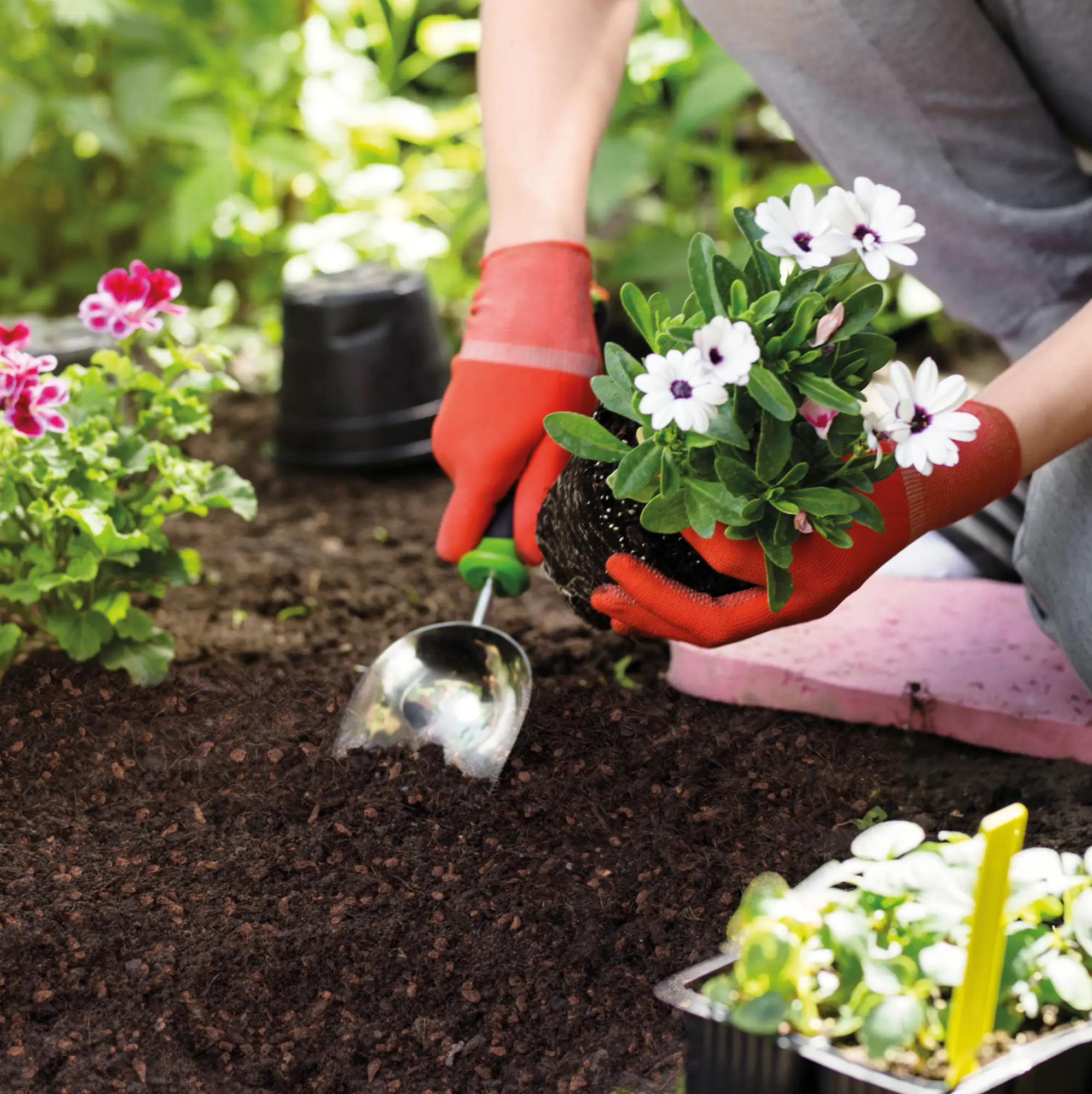 Seramis Torffreie Blumenerde 40 l