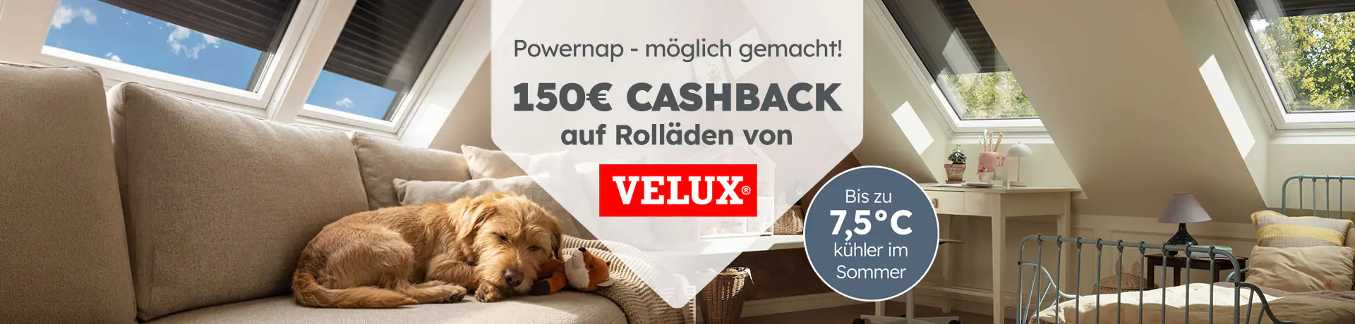Powernap – möglich gemacht! 150€ Cashback auf Rollläden von VELUX. Hund schläft entspannt im kühlen Dachgeschosszimmer.