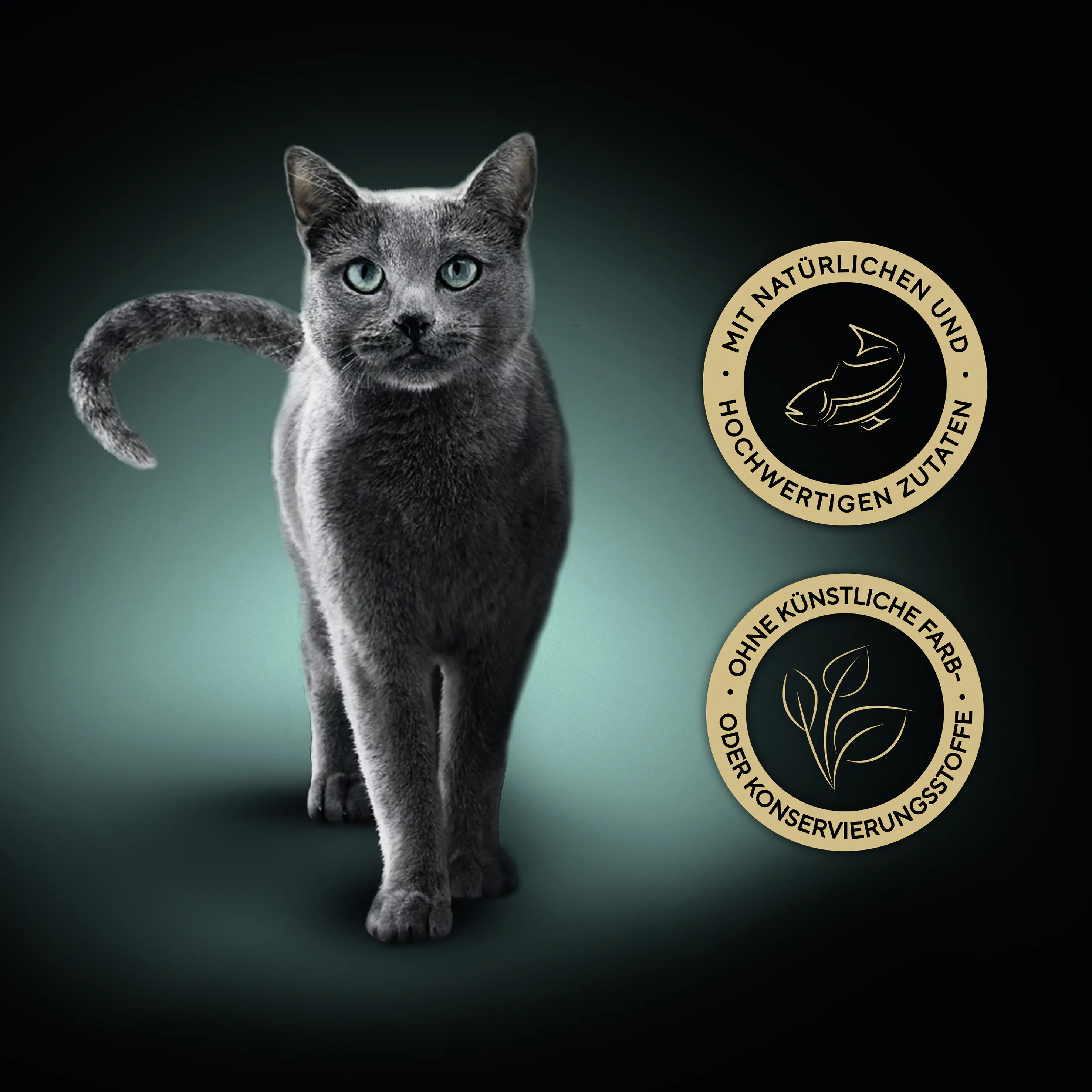 Sheba Filets Katzennassfutter Adult 60 g Weißfisch