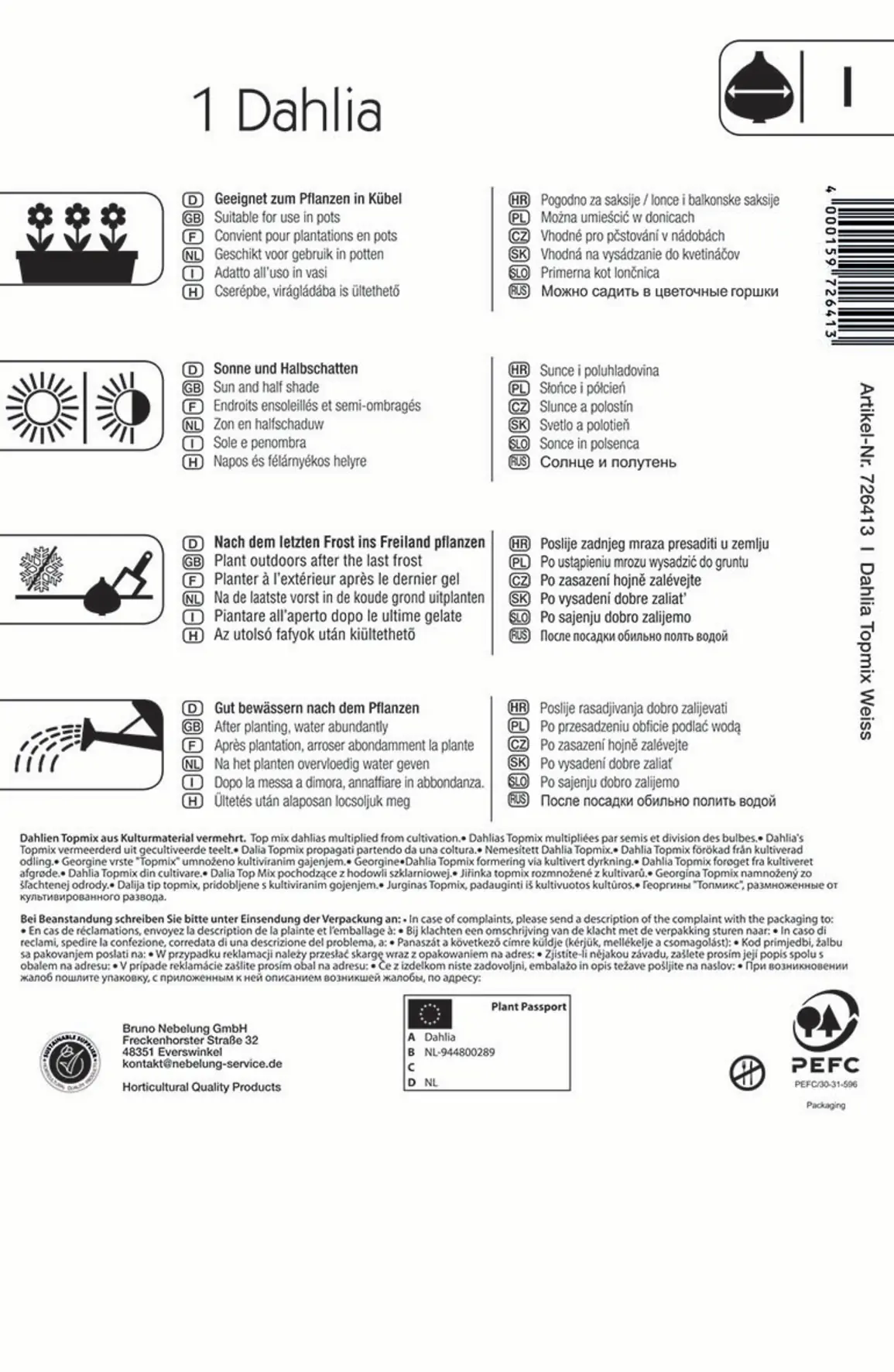 Kiepenkerl Beet- & Topf-Dahlie Topmix Weiß