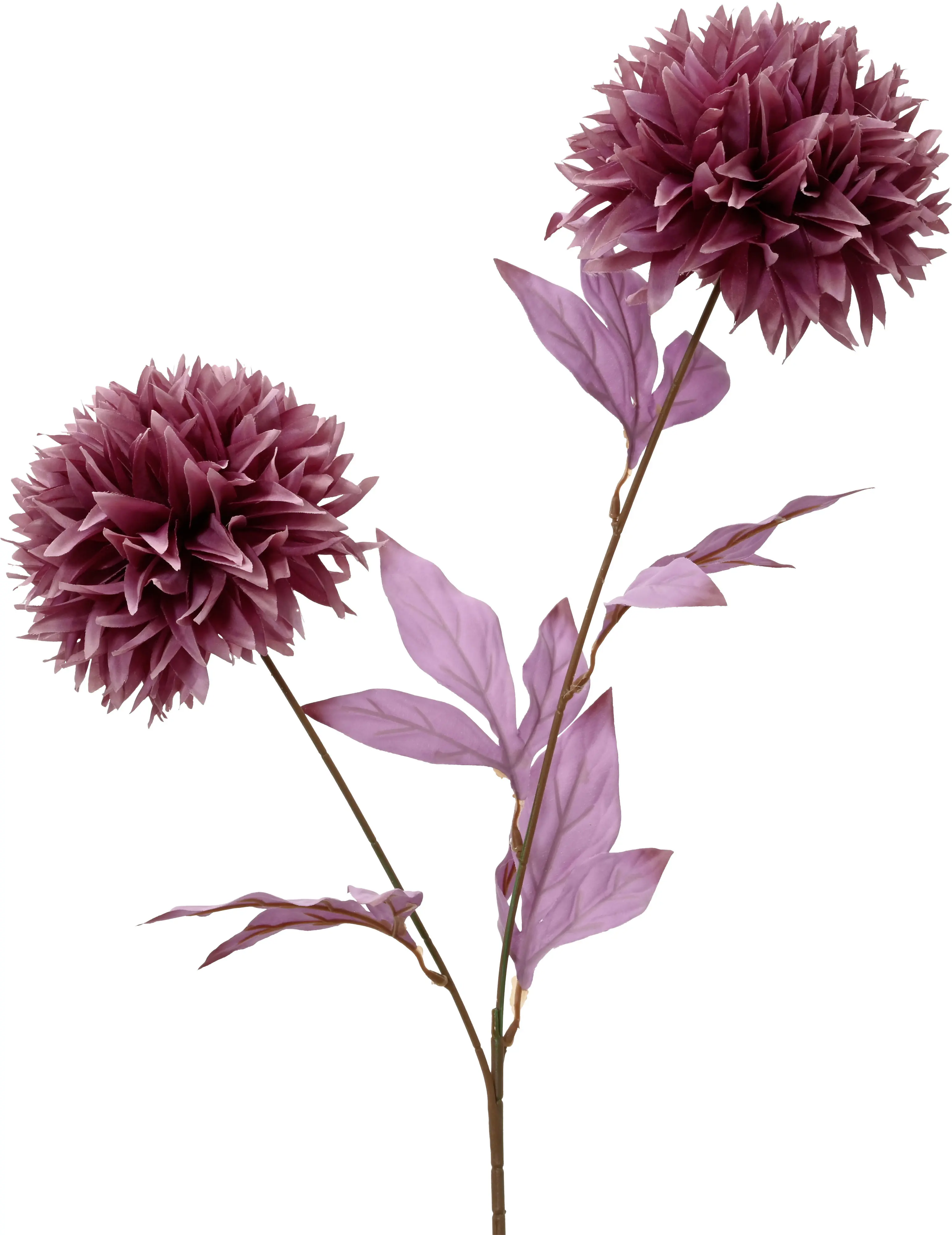 Everlands Weihnachtsdeko Chrysanthemenzweig 24 x 80 cm dunkelrosa