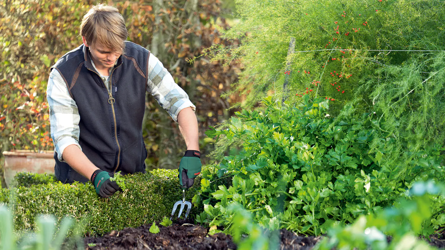 Bosch Handgabel 8 cm Arbeitsbreite