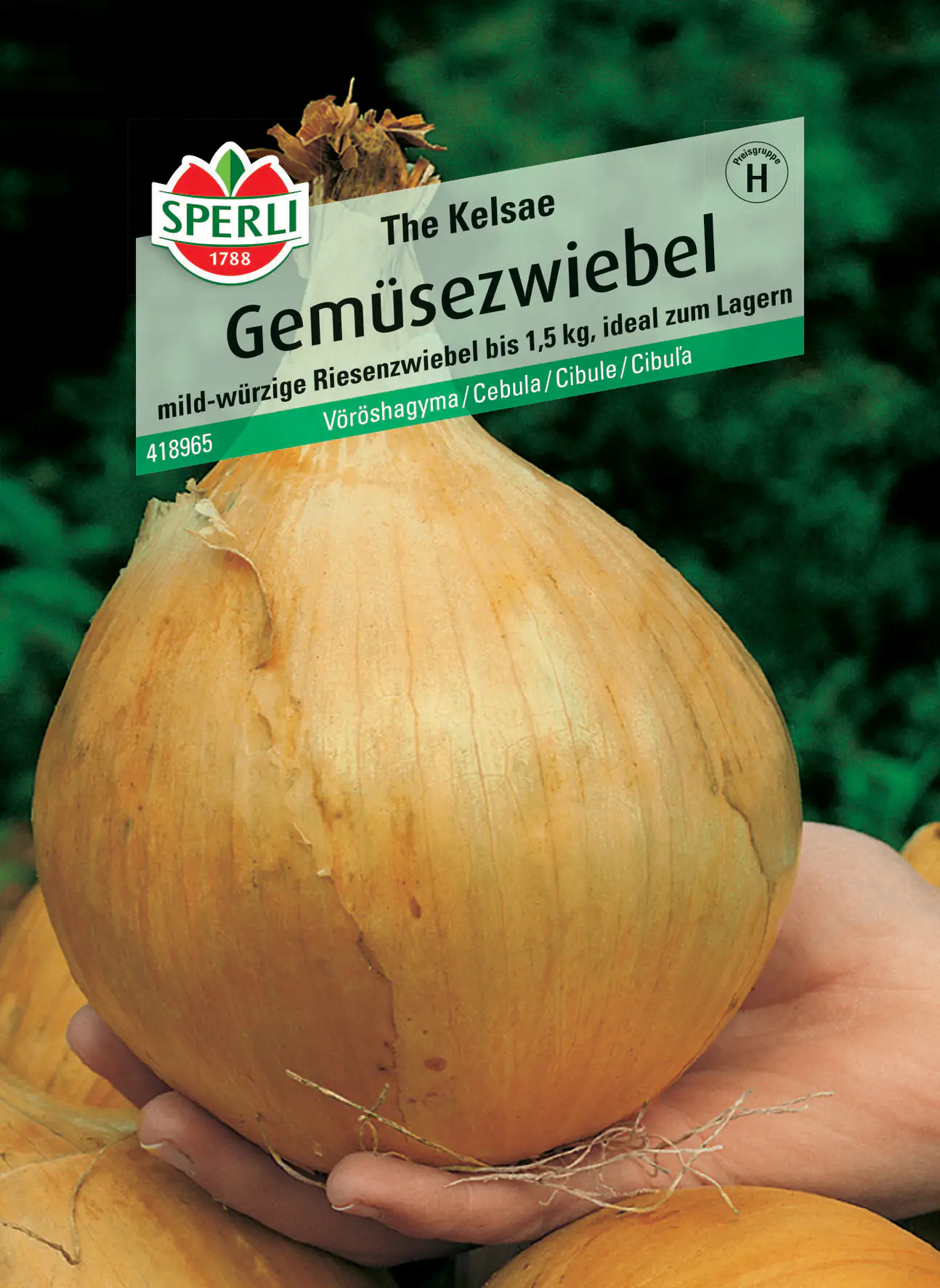 Sperli Gemüsezwiebel The Kelsae