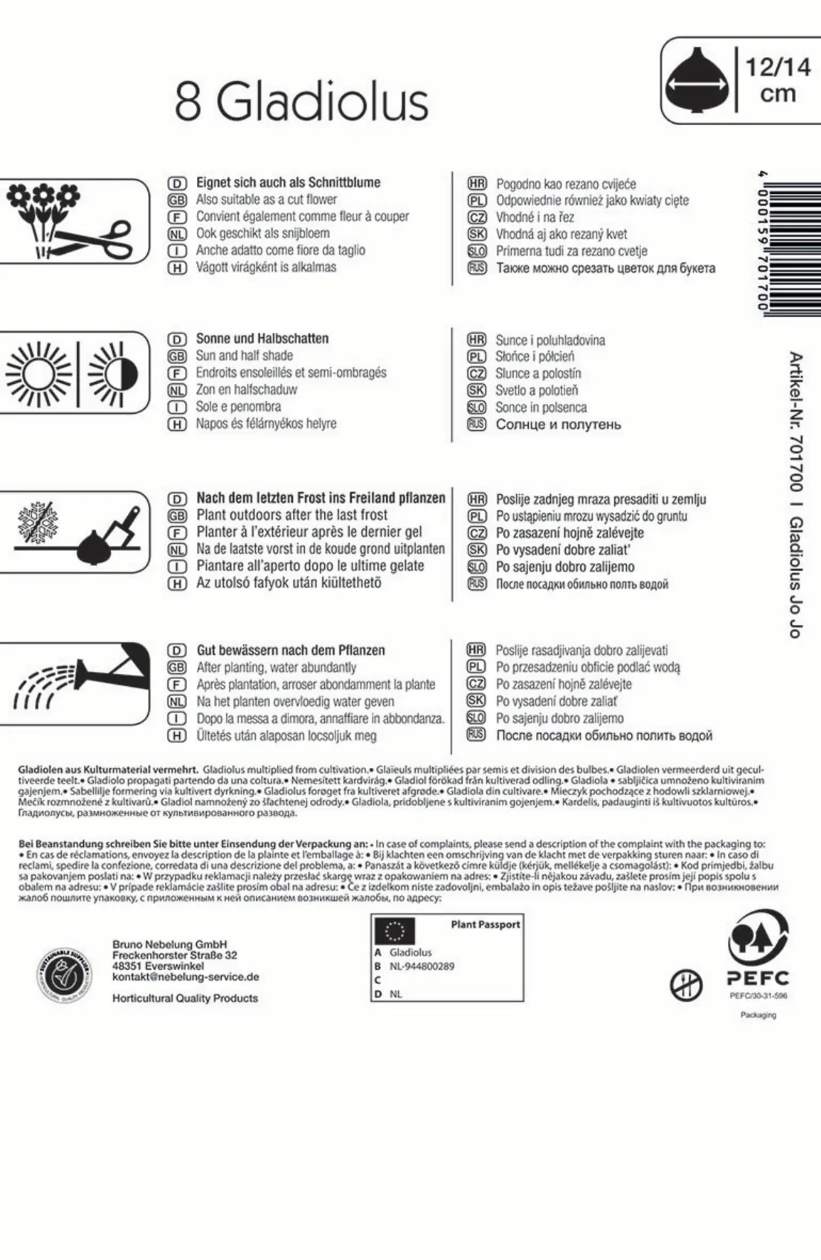 Kiepenkerl Großblumige Gladiole Jo Jo