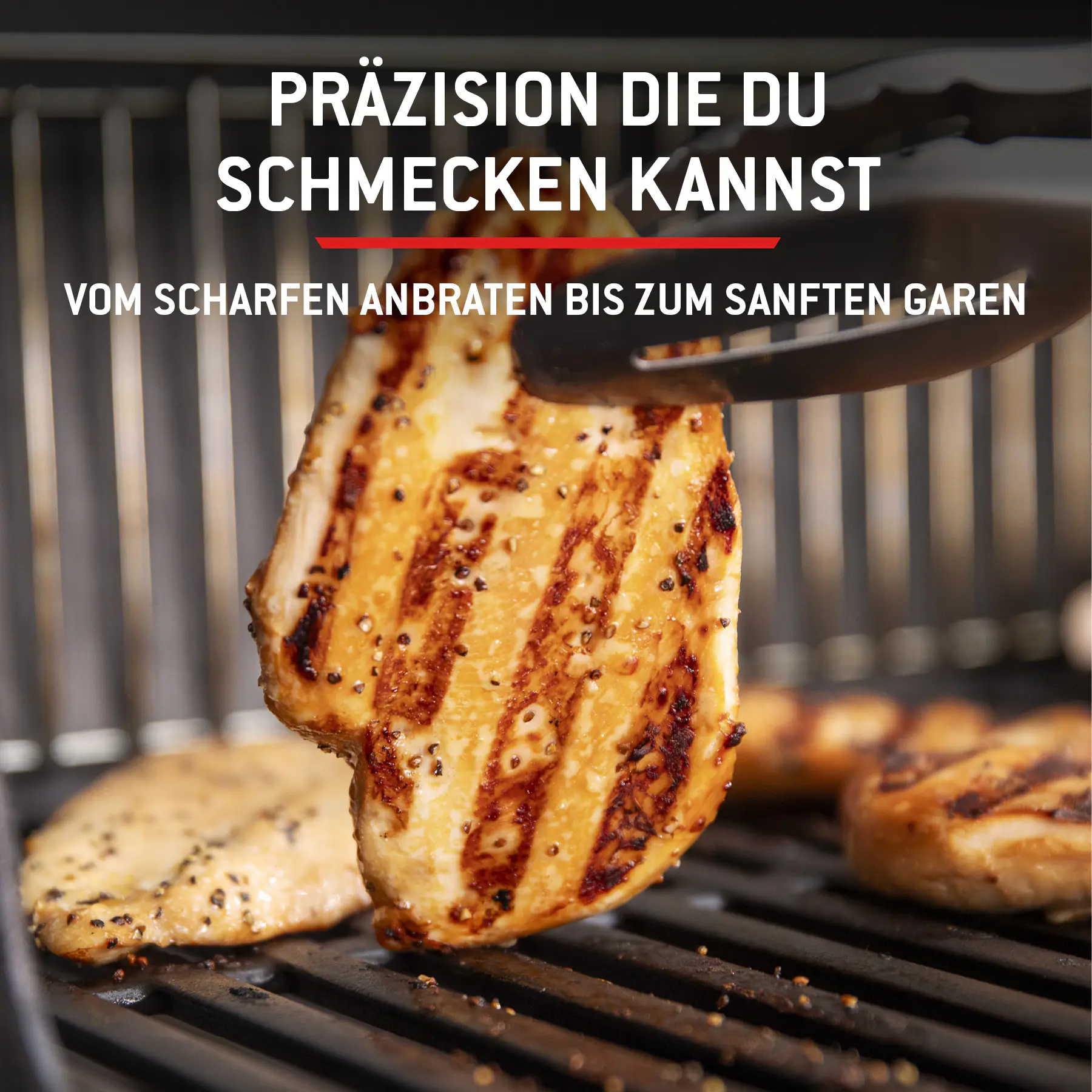 Weber Gasgrill Spirit E210 Grillfläche: 52 x 45 cm 