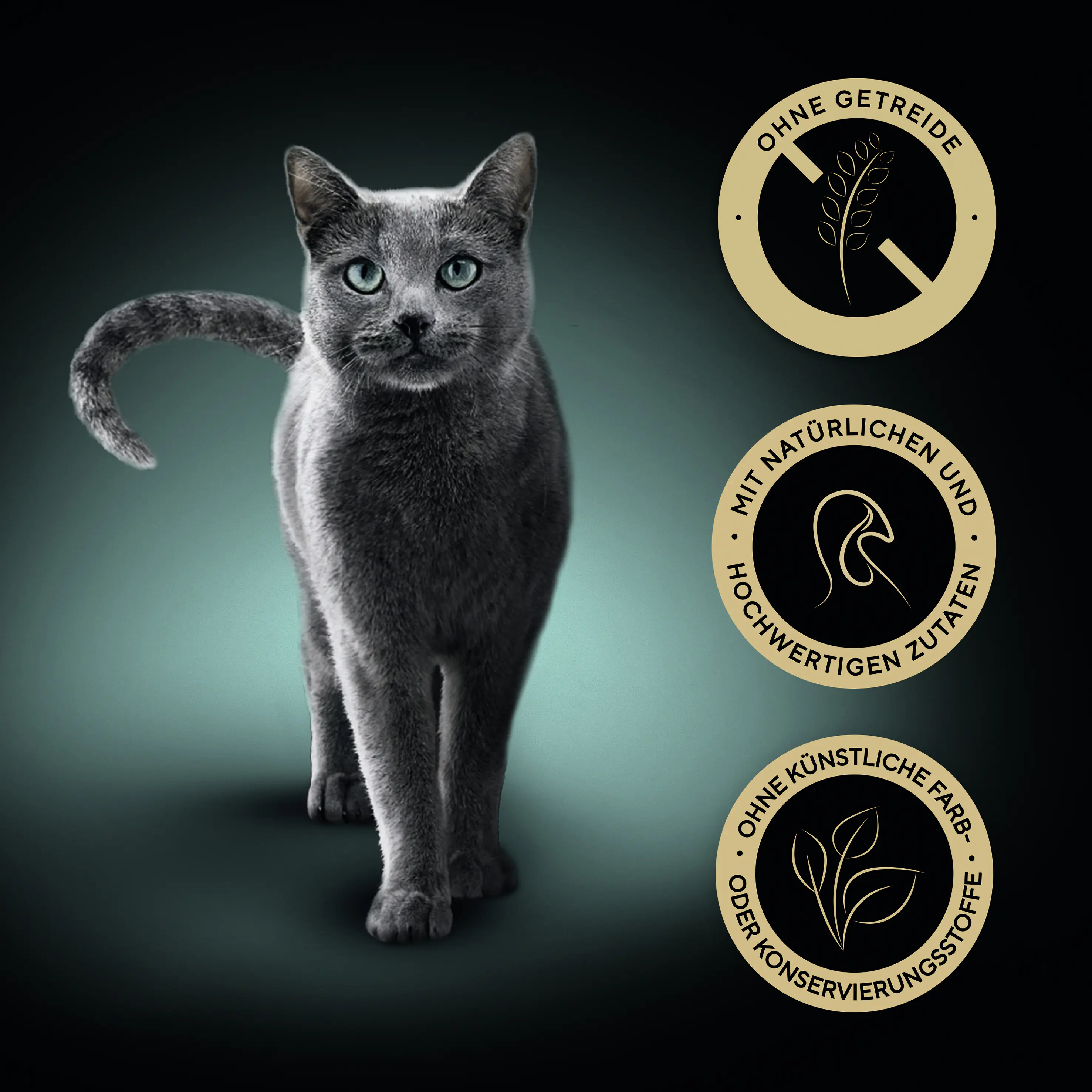 Sheba Pouch Katzennassfutter Adult 85 g Truthahn & Karotte