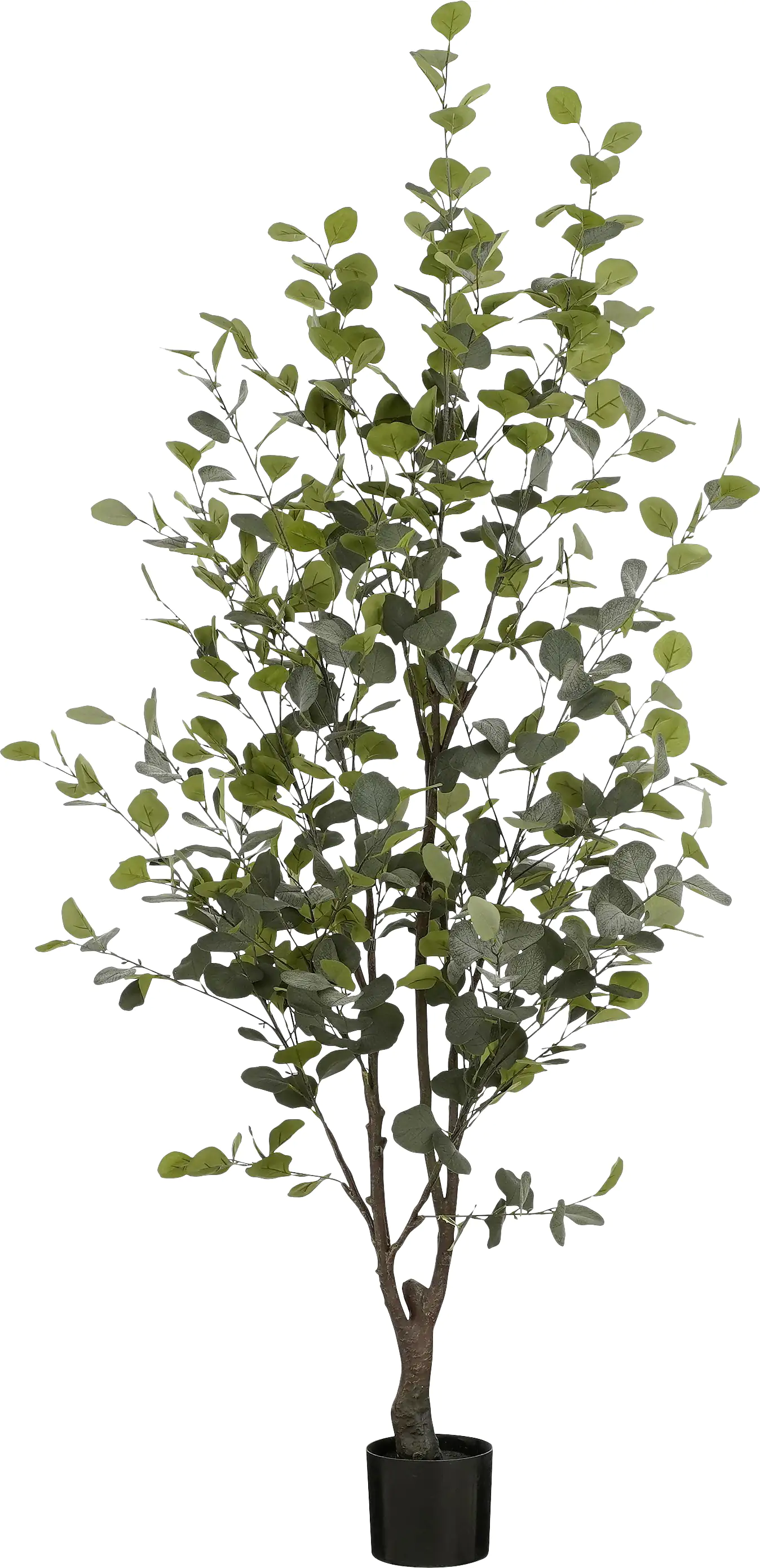 Mica Eukalyptusbaum im Topf grün Polyester 180 cm Mica Eukalyptusbaum im Topf grün Polyester 180 cm