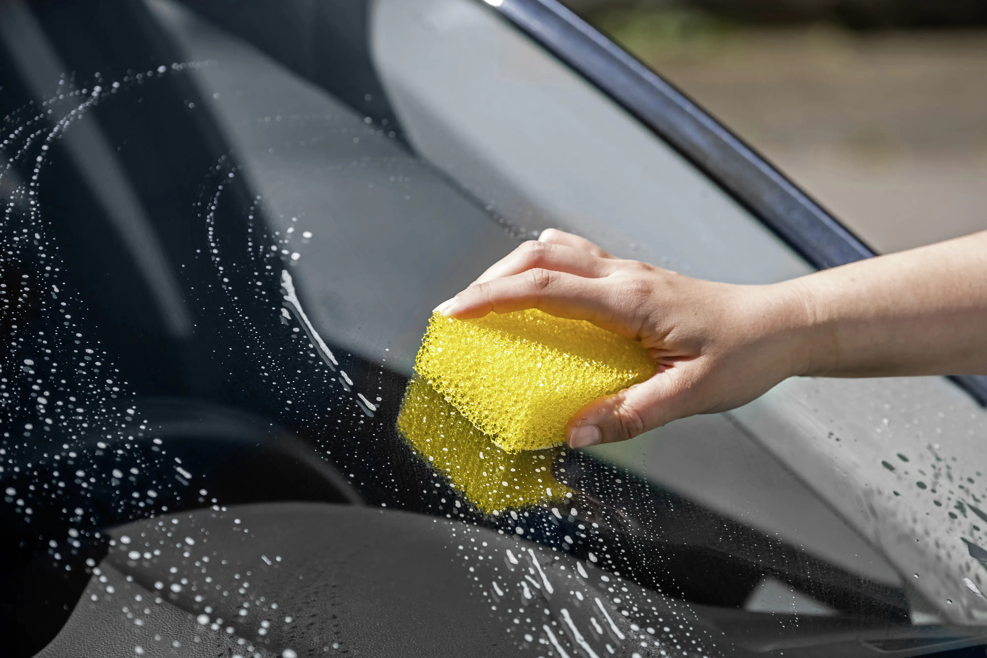 APA Insektenschwamm 10x7x3,5cm