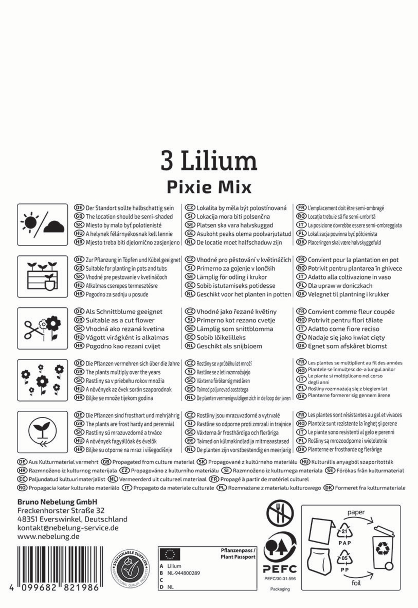 Kiepenkerl Frühjahrsblumenzwiebel Asiatische Lilie Pixie Mix 3 Stück