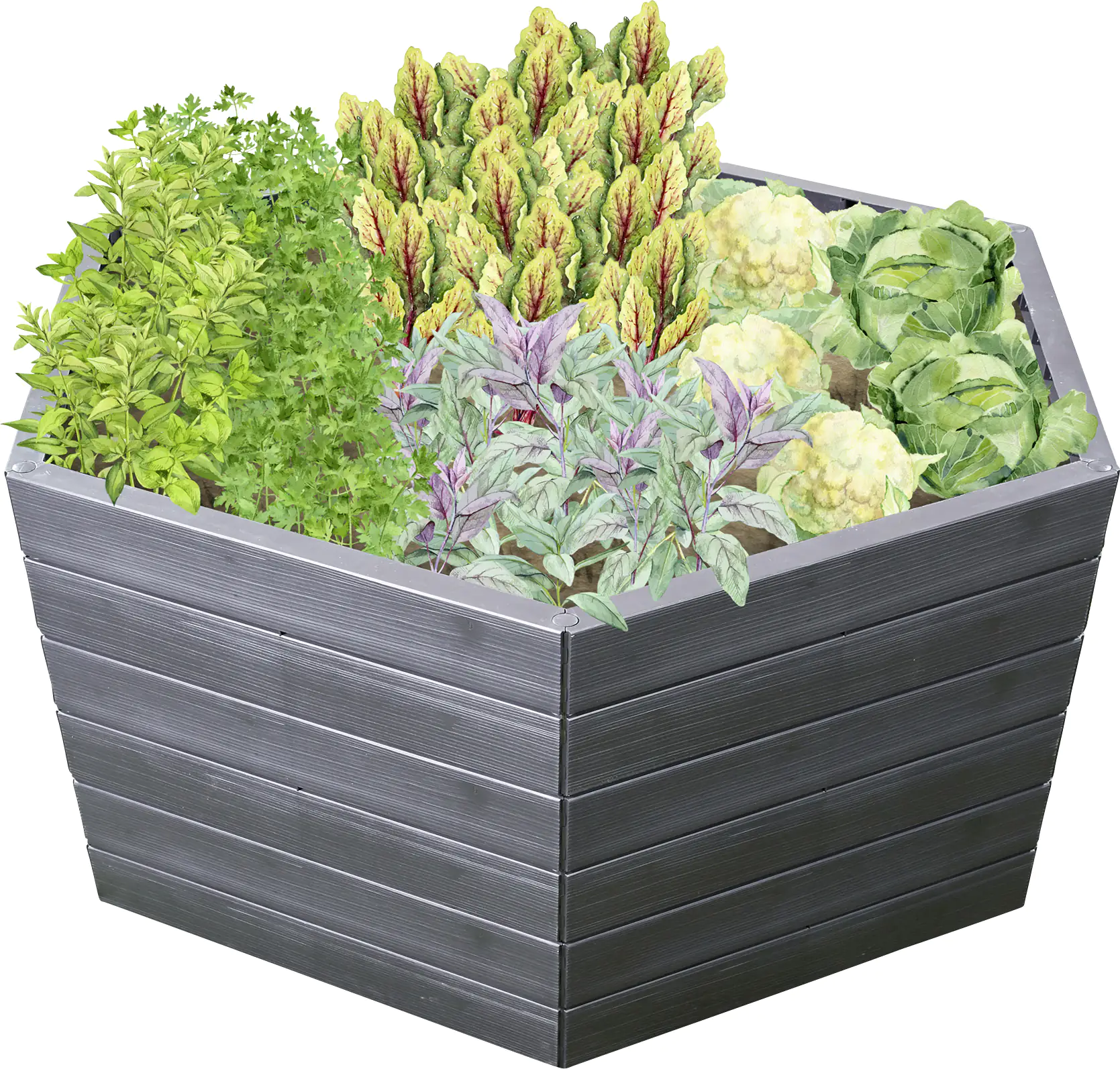 Garantia Hochbeet Ergo XL 75 mit FLORA-Wassersparsystem, 145 x 75 cm