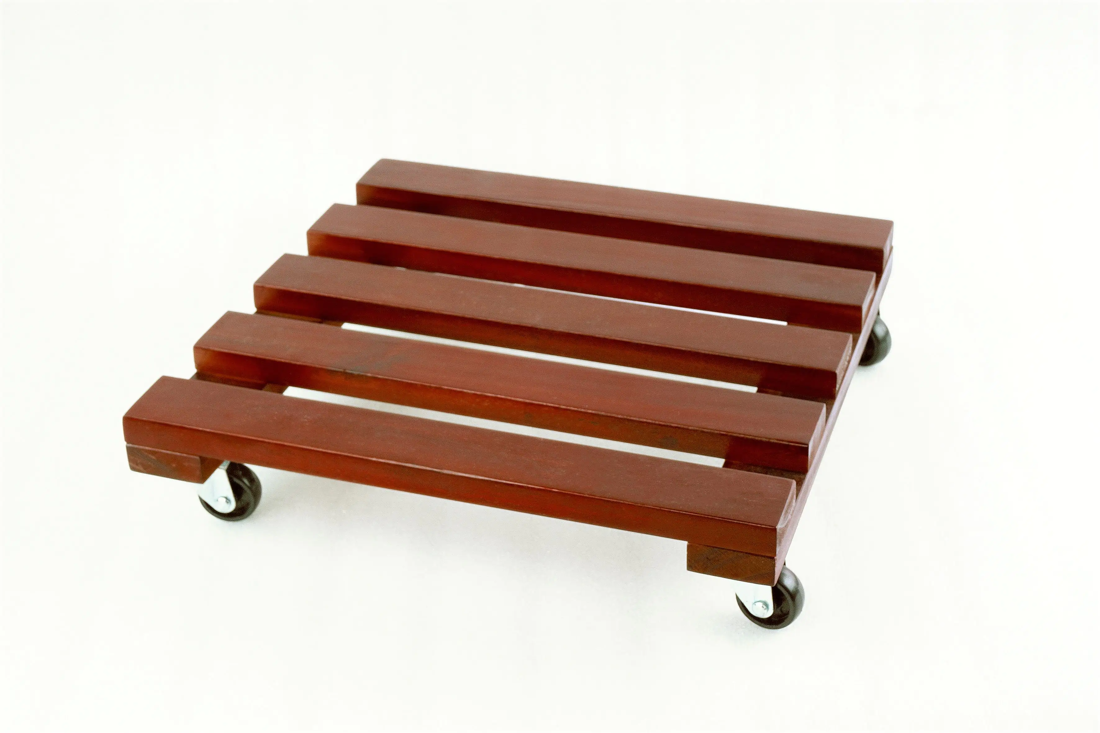 2070069200022_gobig TrendLine Pflanzenroller Akazie