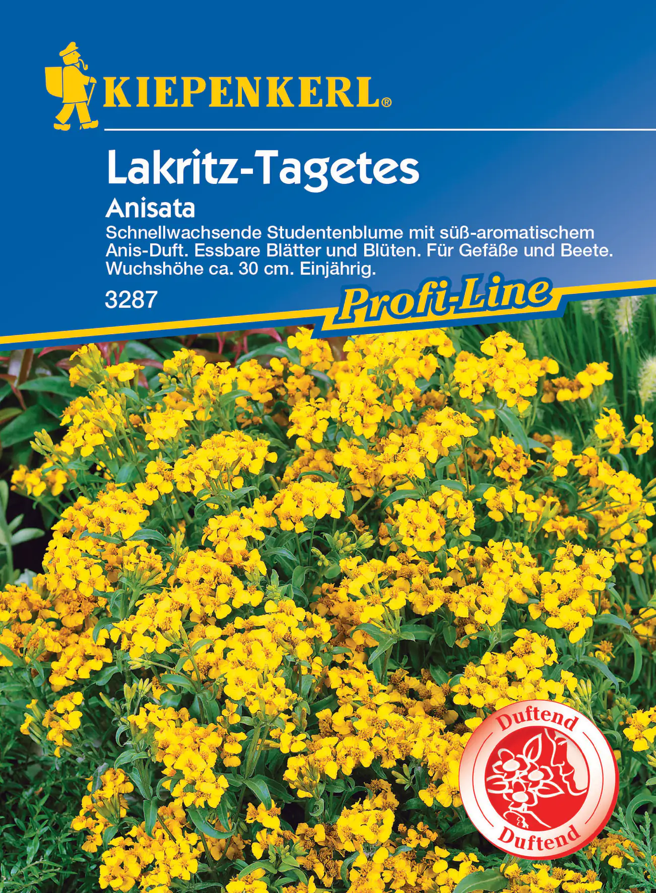 Kiepenkerl Lakritz-Tagetes Anisata Kiepenkerl Lakritz-Tagetes Anisata