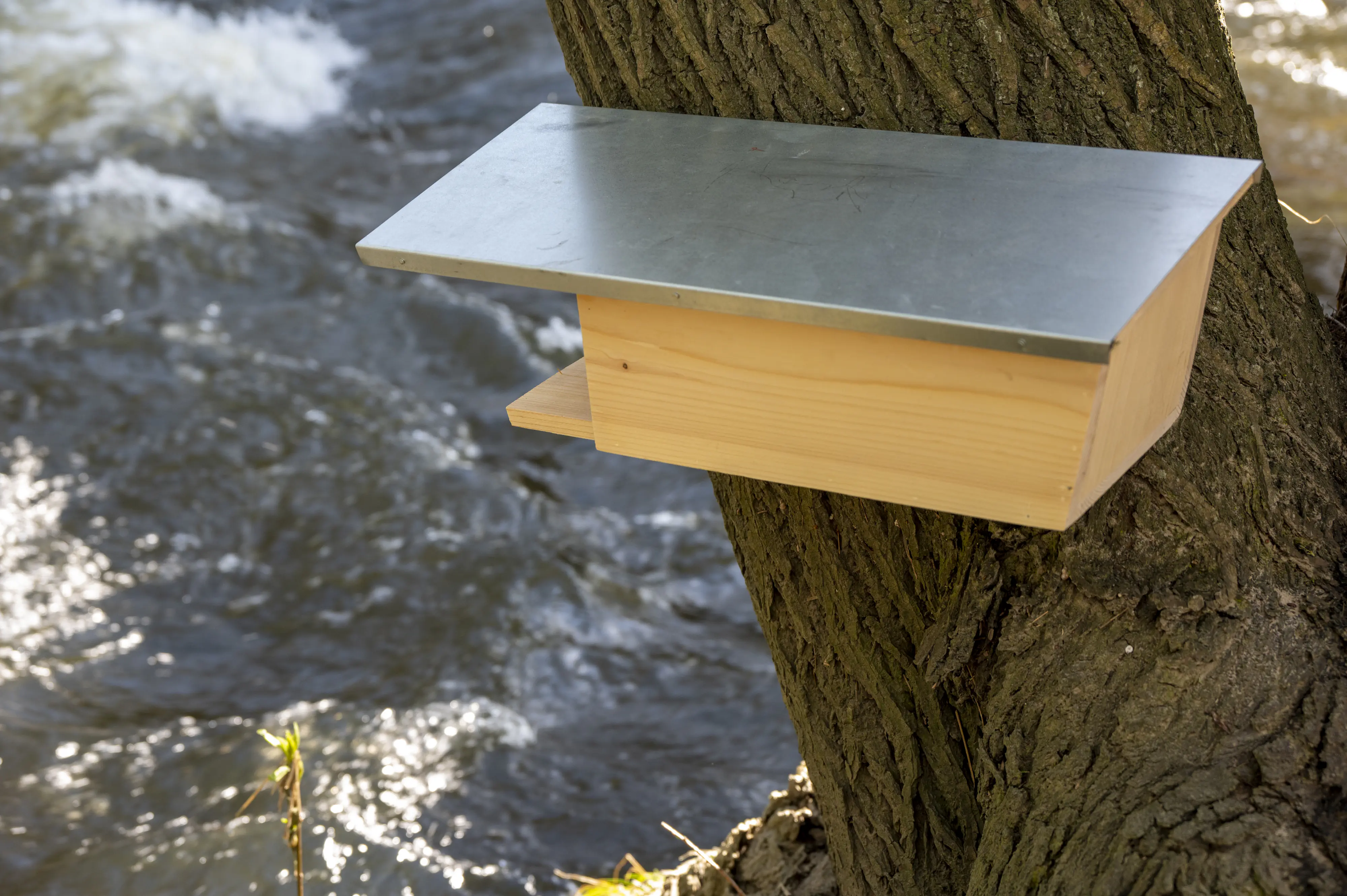 Dobar Nistkasten Bachstelze 48 x 14 x 15 cm natur