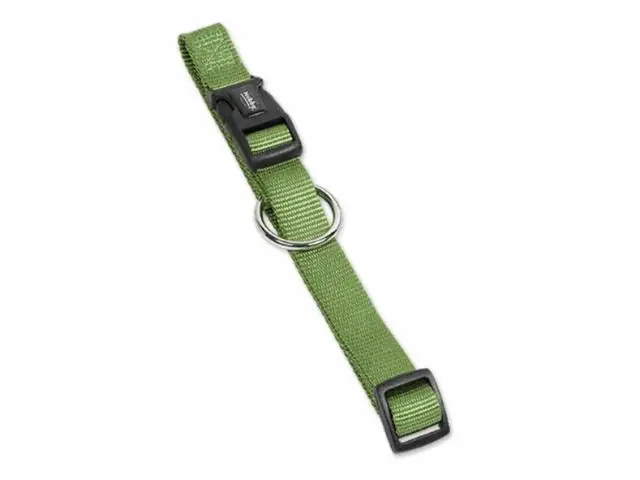 Nobby Hundehalsband Classic lindgrün 