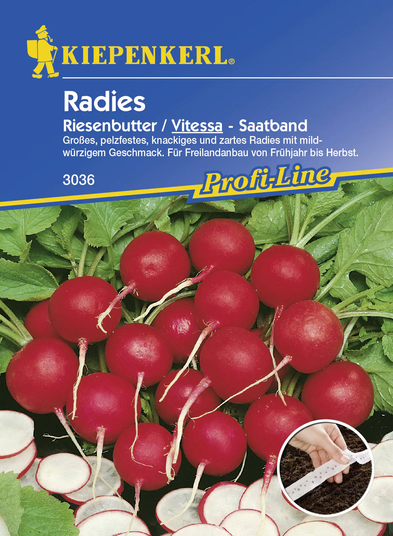 Kiepenkerl Radieschen Riesenbutter Vitessa Raphanus sativus var. sativus, Inhalt: ca. 5 lfd. Meter