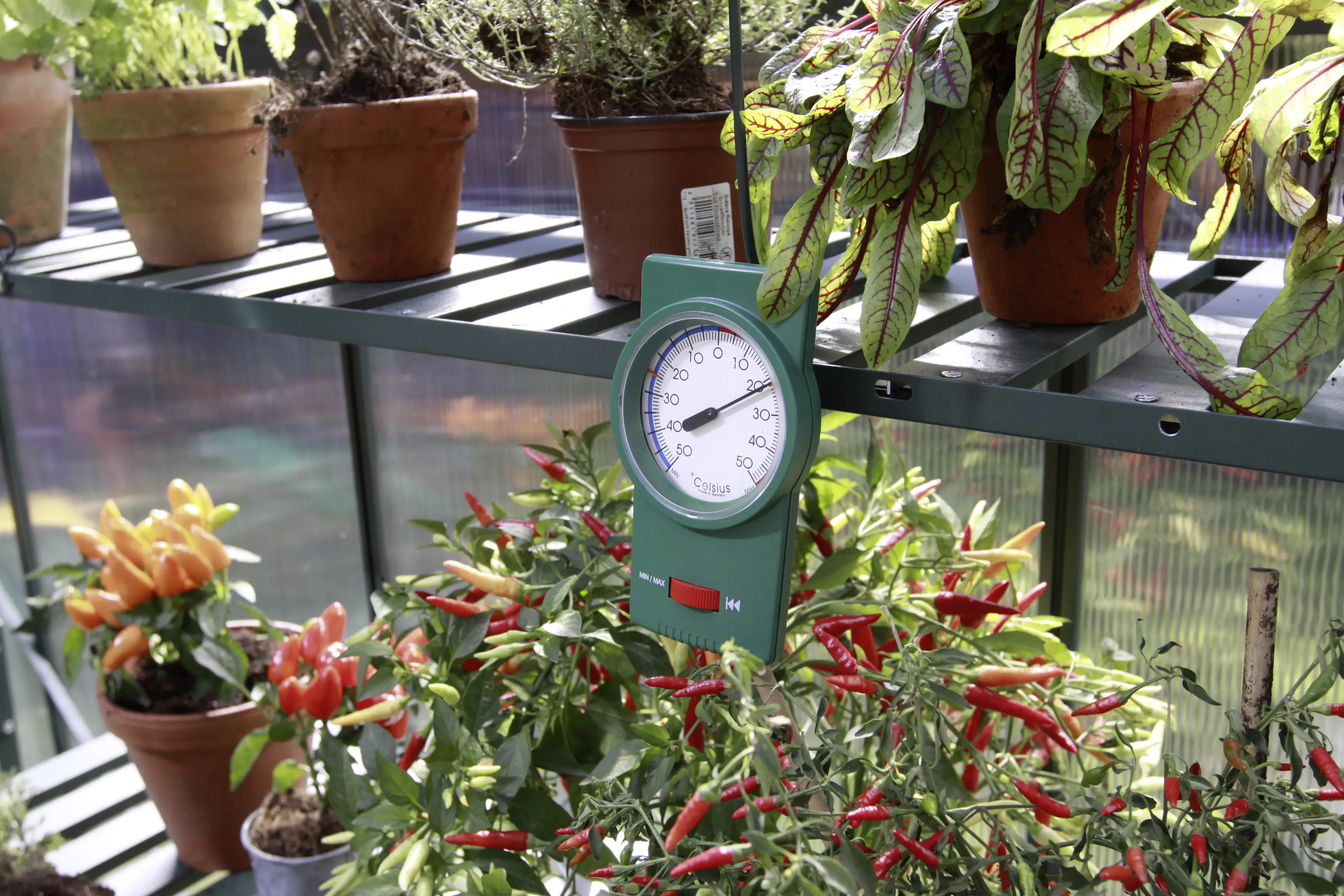 Vitavia Min-Max -Thermometer