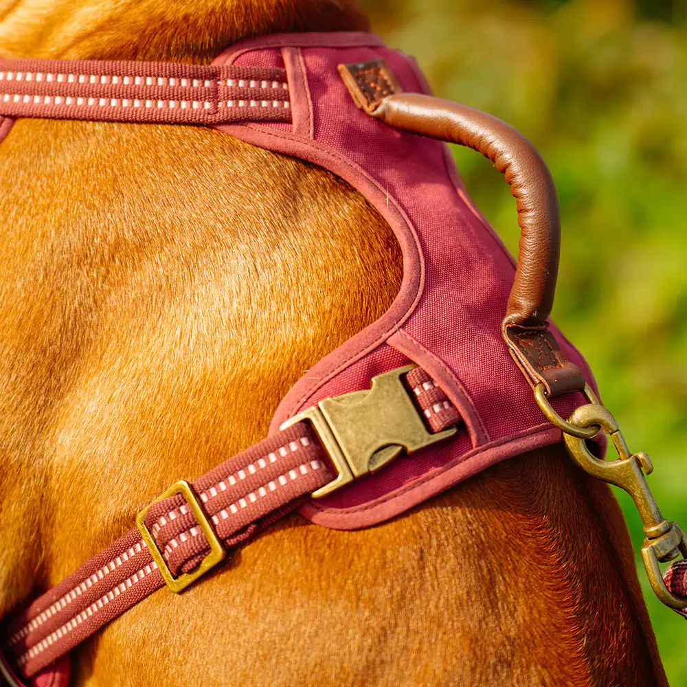 Nobby Hundegeschirr Sporty mit Griff rot
